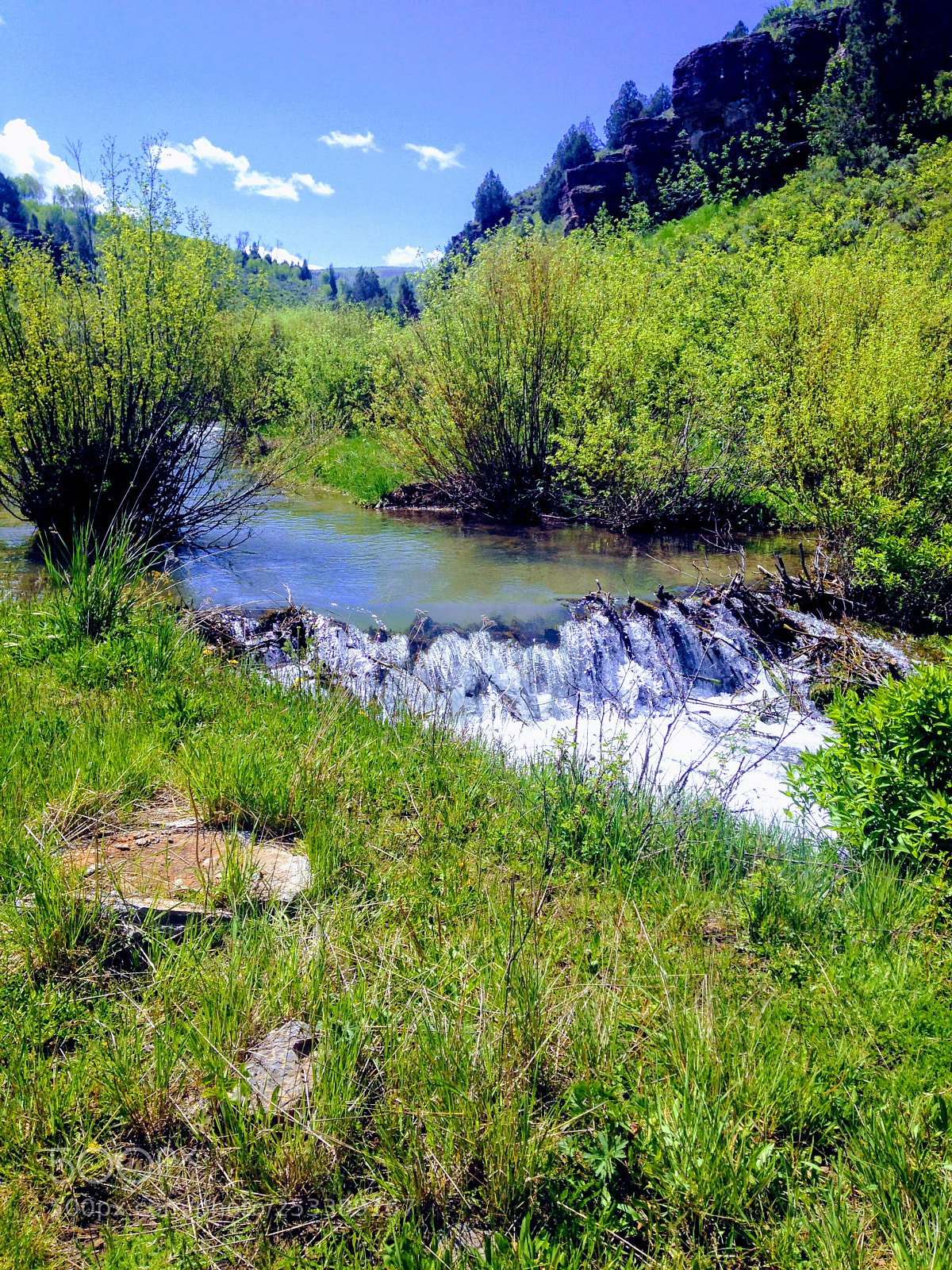 Apple iPhone 5c sample photo. Logan canyon photography