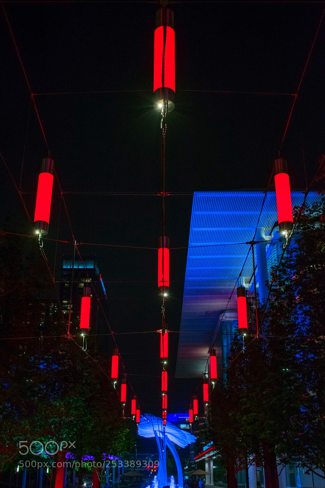 Nikon D3400 sample photo. Lead the way photography