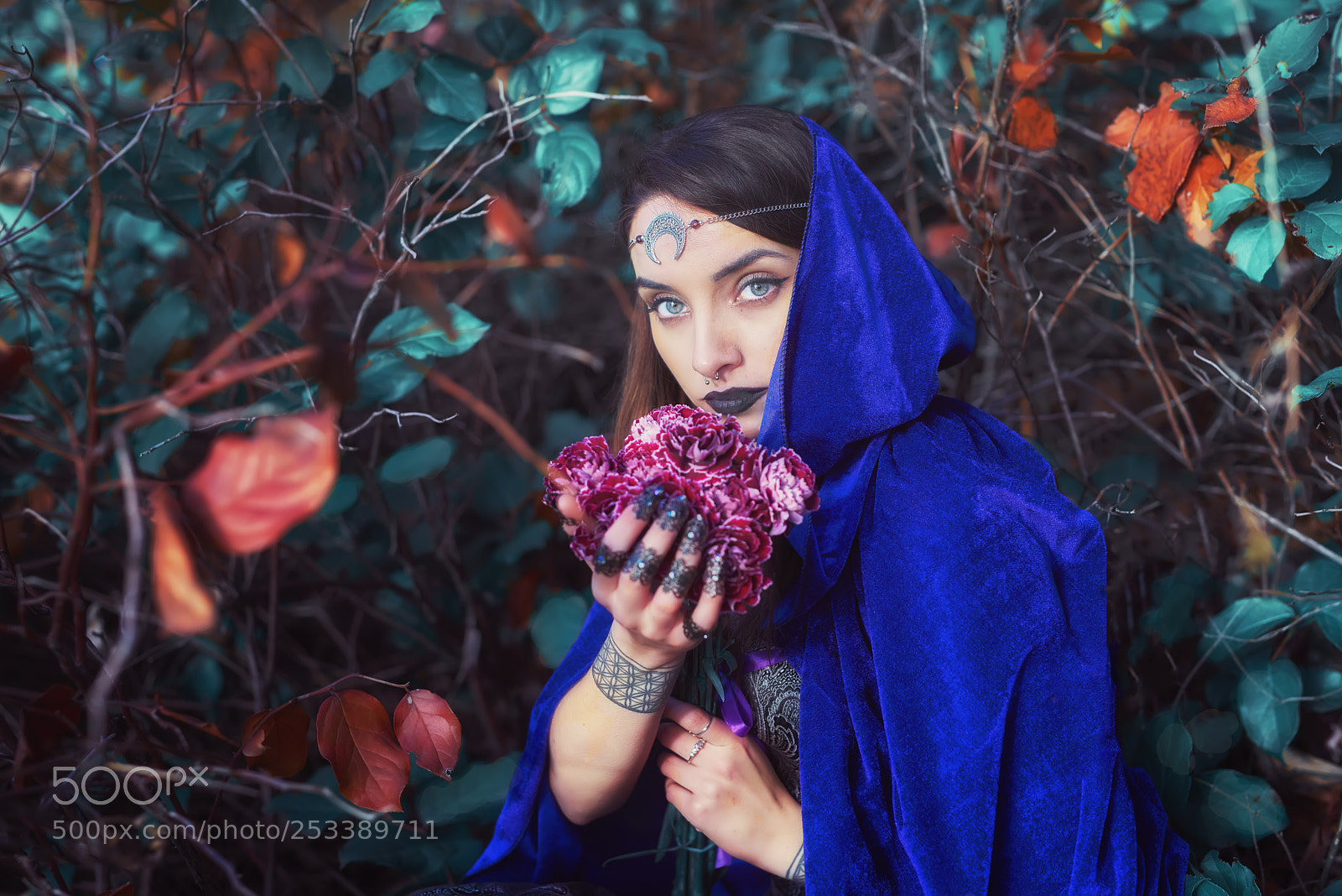 Nikon D810 sample photo. The lost moon princess photography