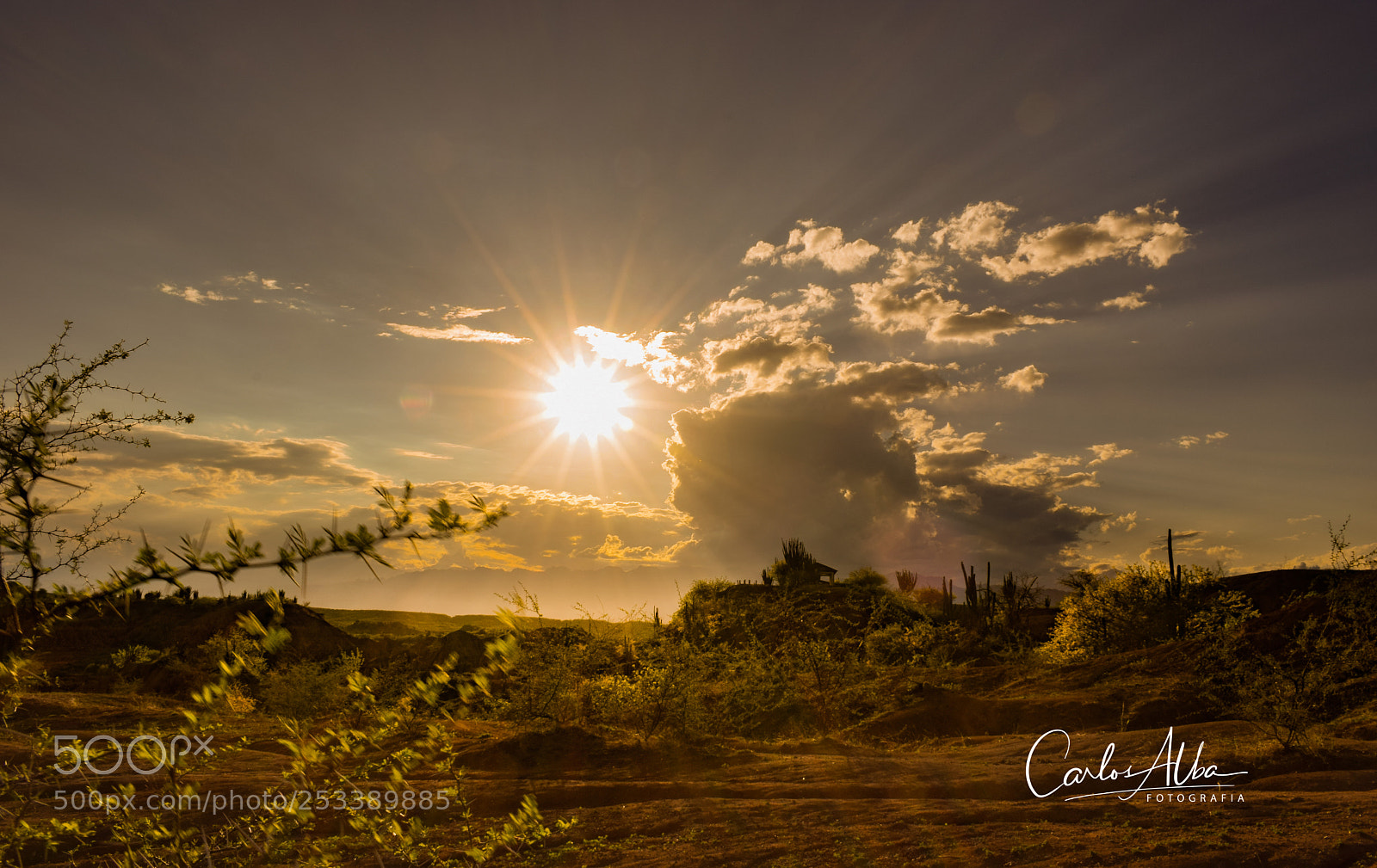 Nikon D5300 sample photo. Sundown desert photography