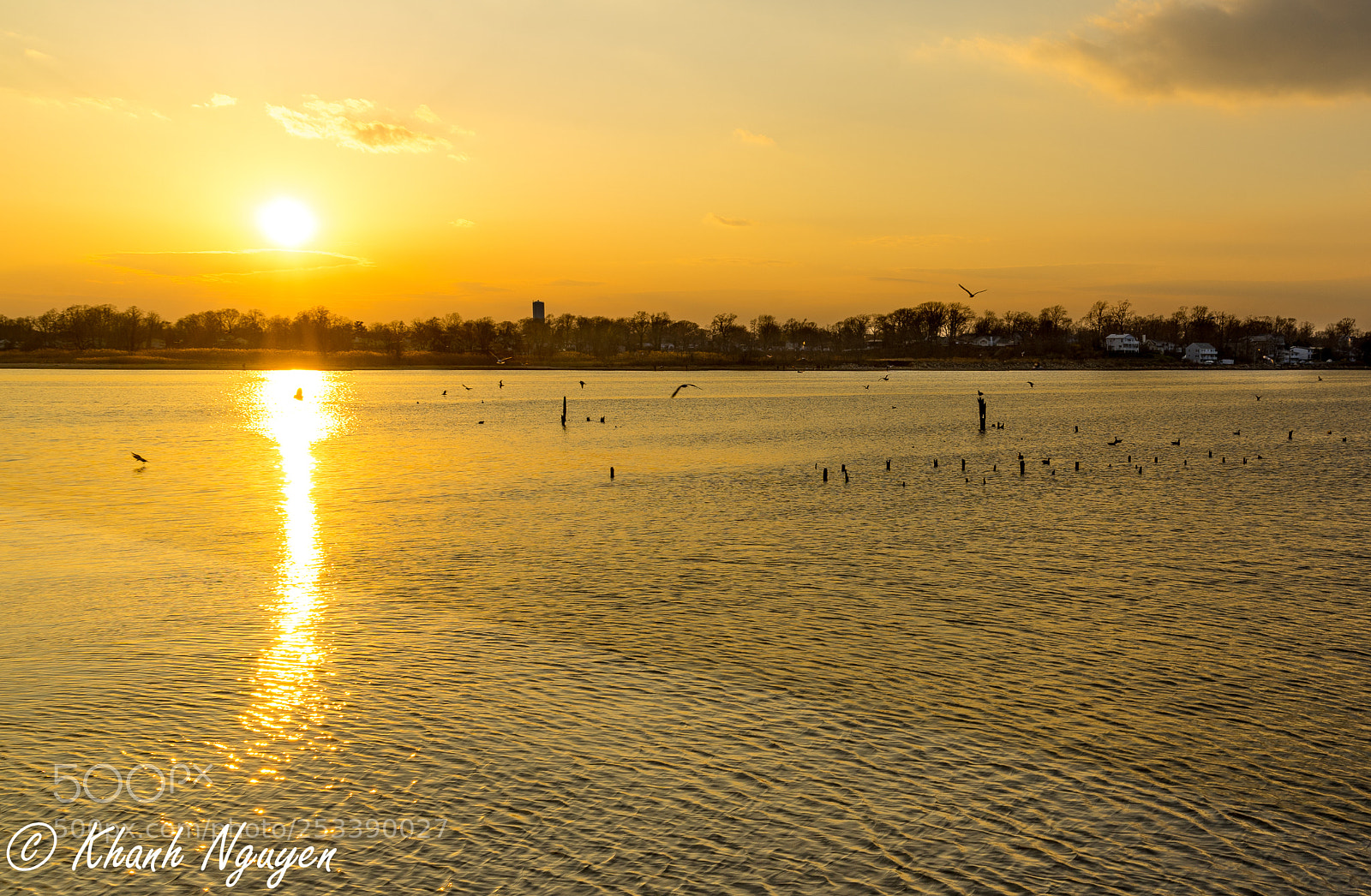Sony a7 II sample photo. Dsc photography