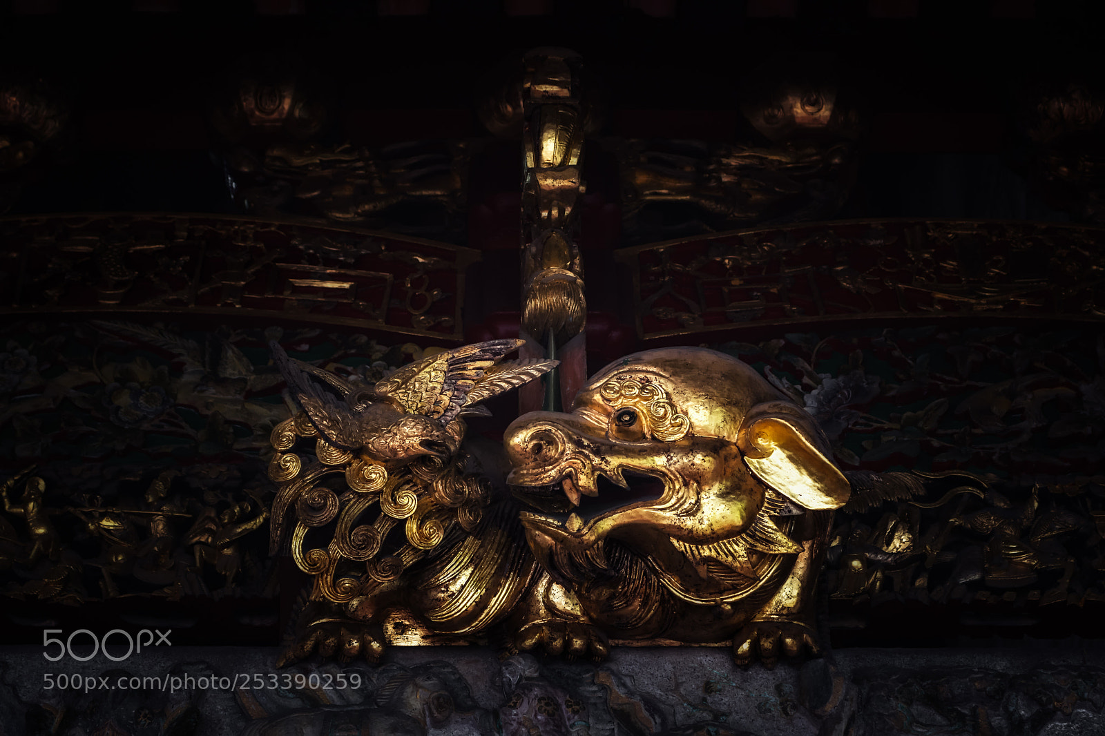 Nikon D7100 sample photo. Guardian photography