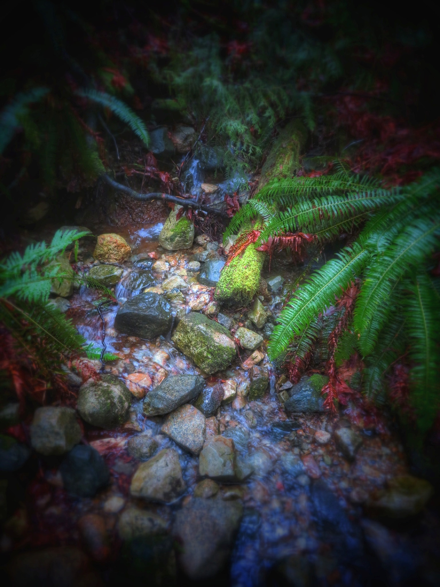 Canon PowerShot SX730 HS sample photo. Stones in the stream photography