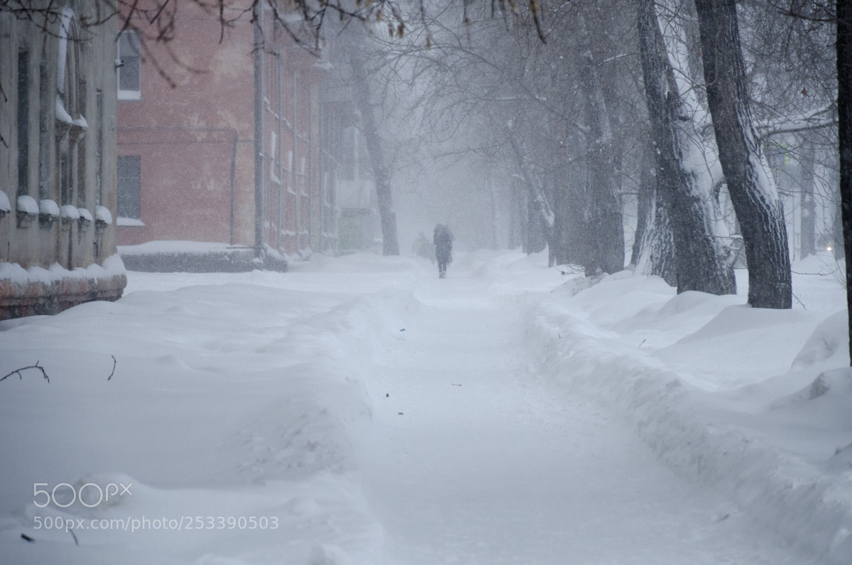 Nikon D7000 sample photo. Метель photography