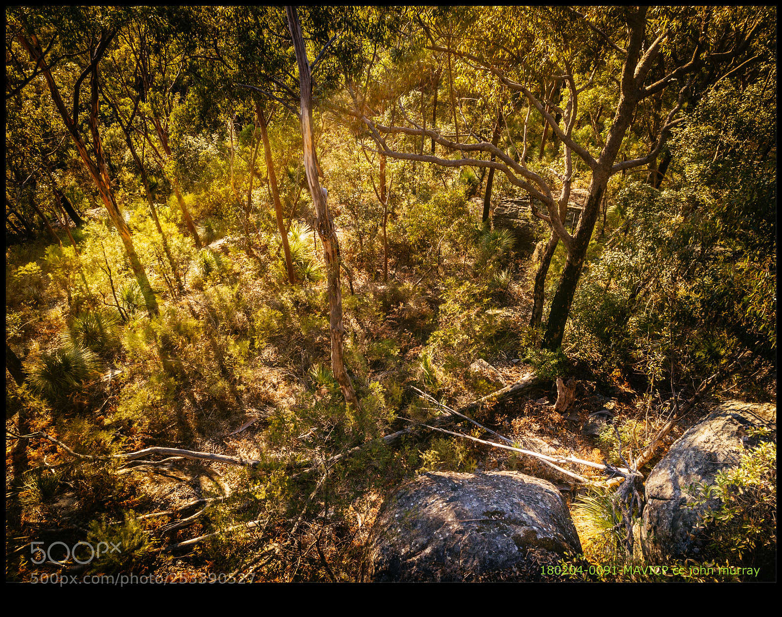 DJI FC220 sample photo. 180204-0091-mavicp photography