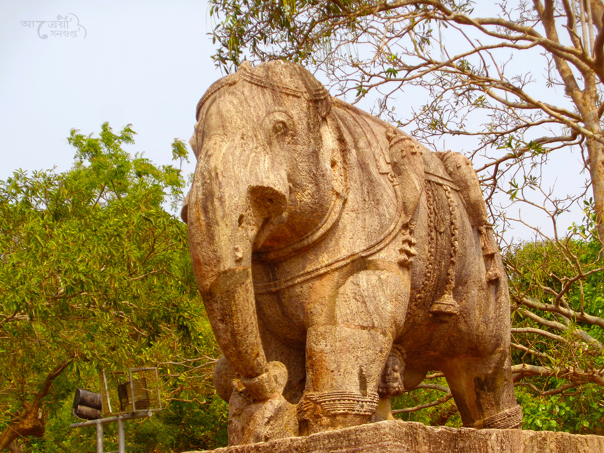 Sony Cyber-shot DSC-W830 sample photo. গজেন্দ্রগমন photography