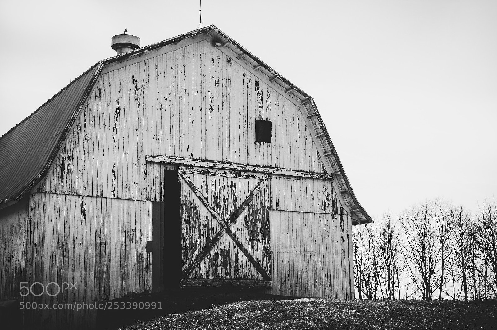 Sony SLT-A57 sample photo. Economy indiana barn photography