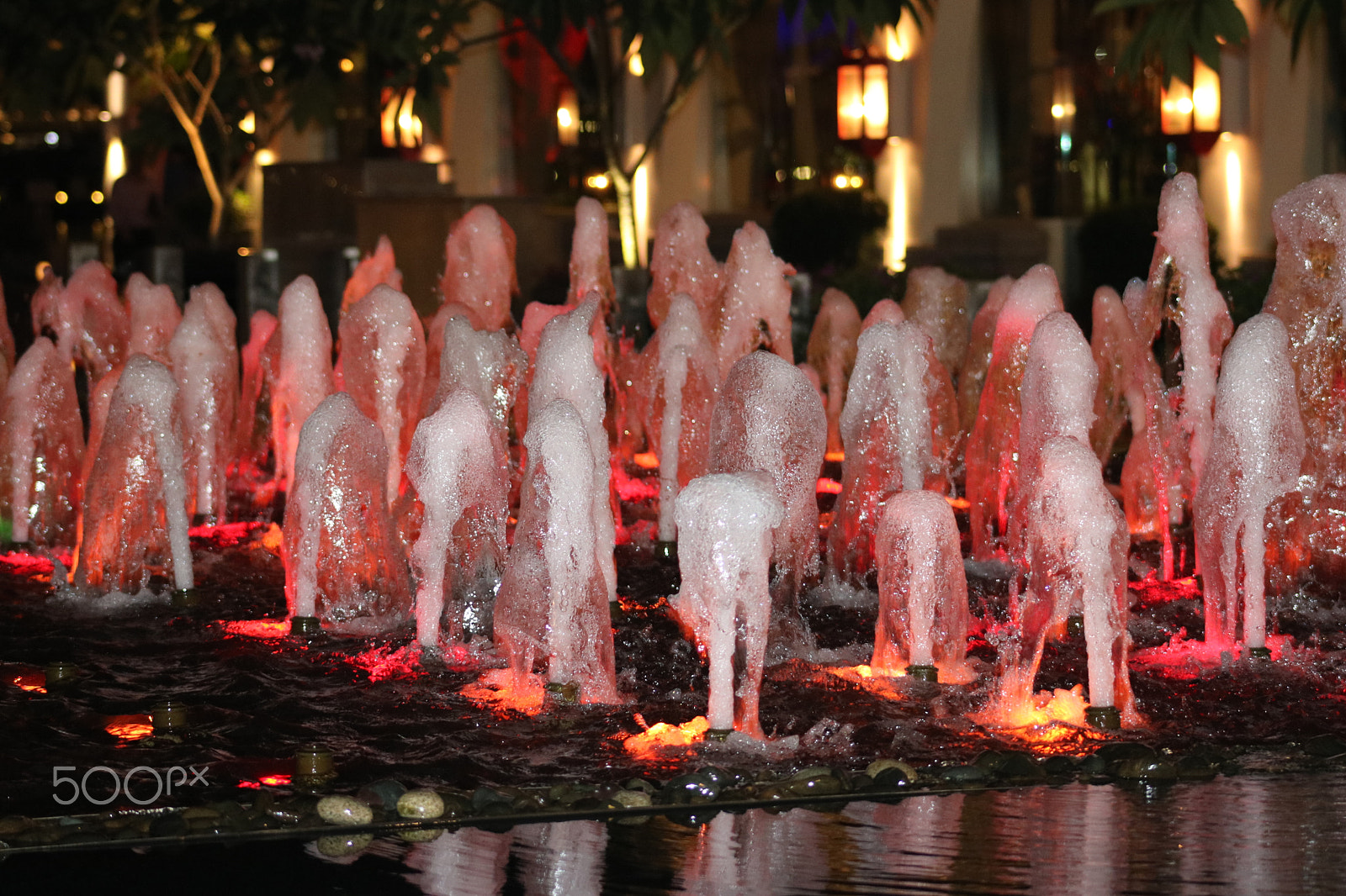 Canon EF 75-300mm f/4-5.6 sample photo. Img photography