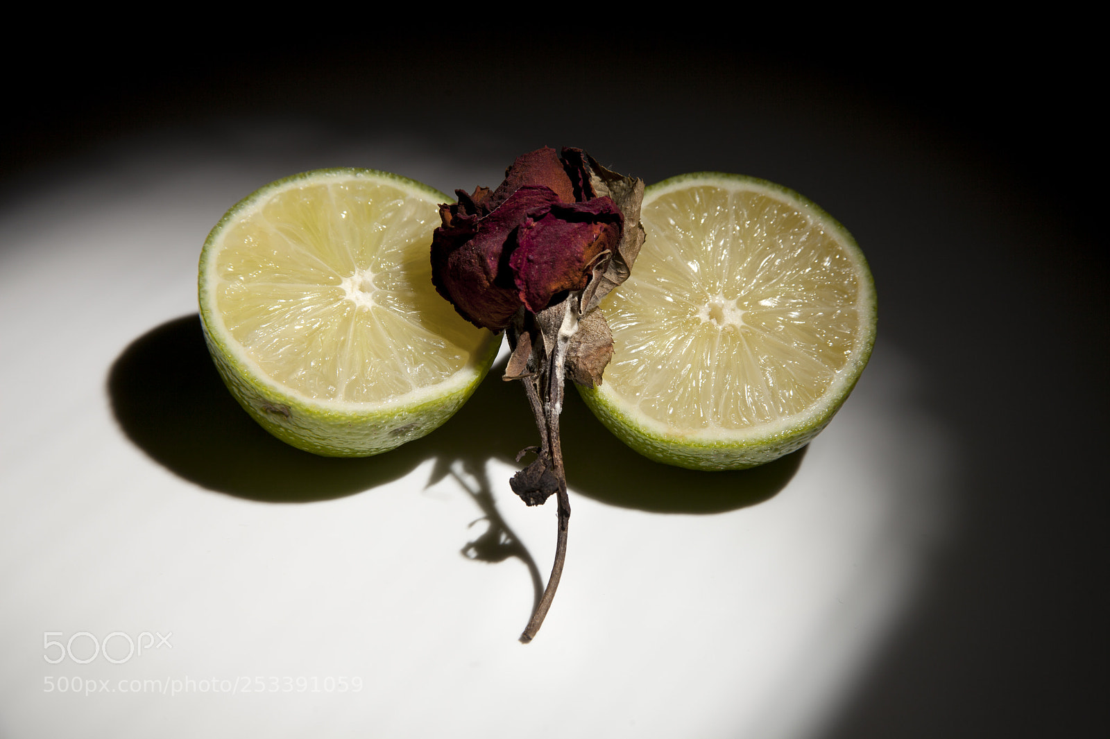 Canon EOS 5D Mark II sample photo. Limes and rose photography