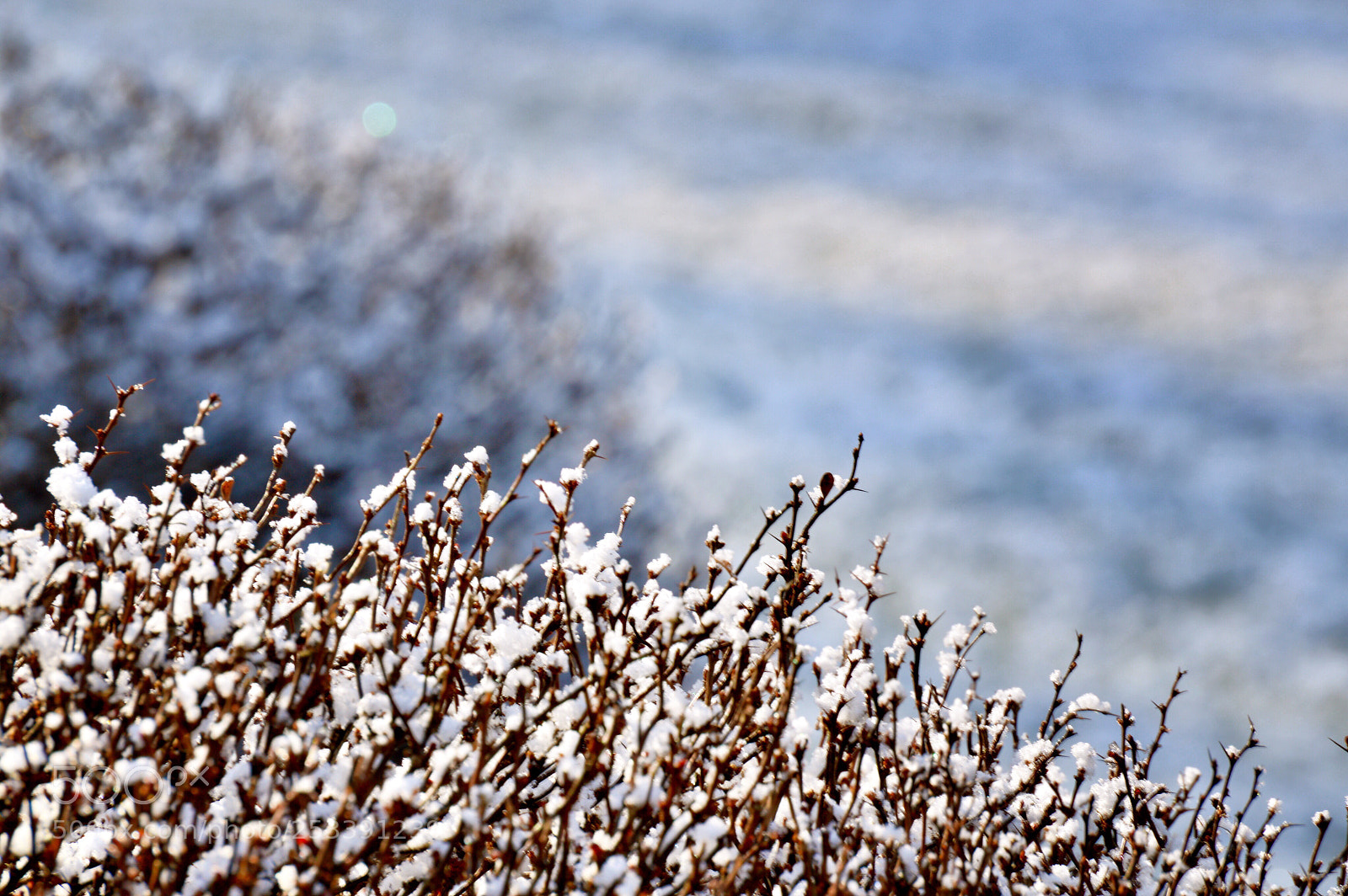Nikon D3200 sample photo. Guess when? photography