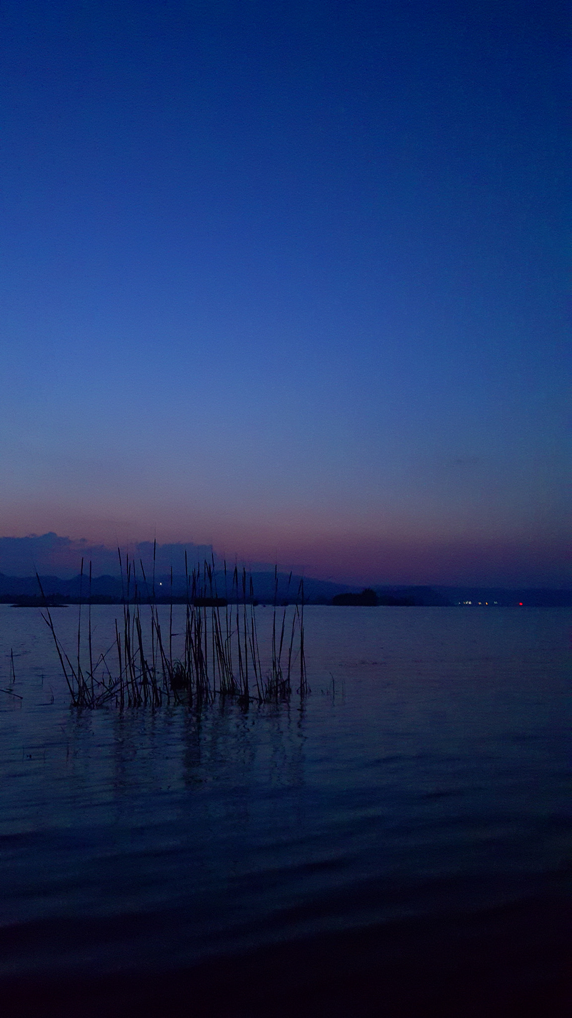 Meizu PRO 5 sample photo