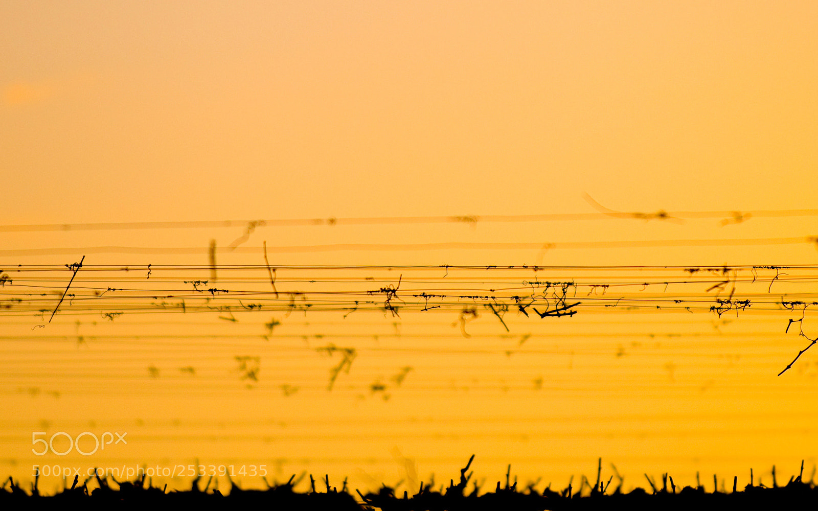 Nikon D300 sample photo. Nature view photography