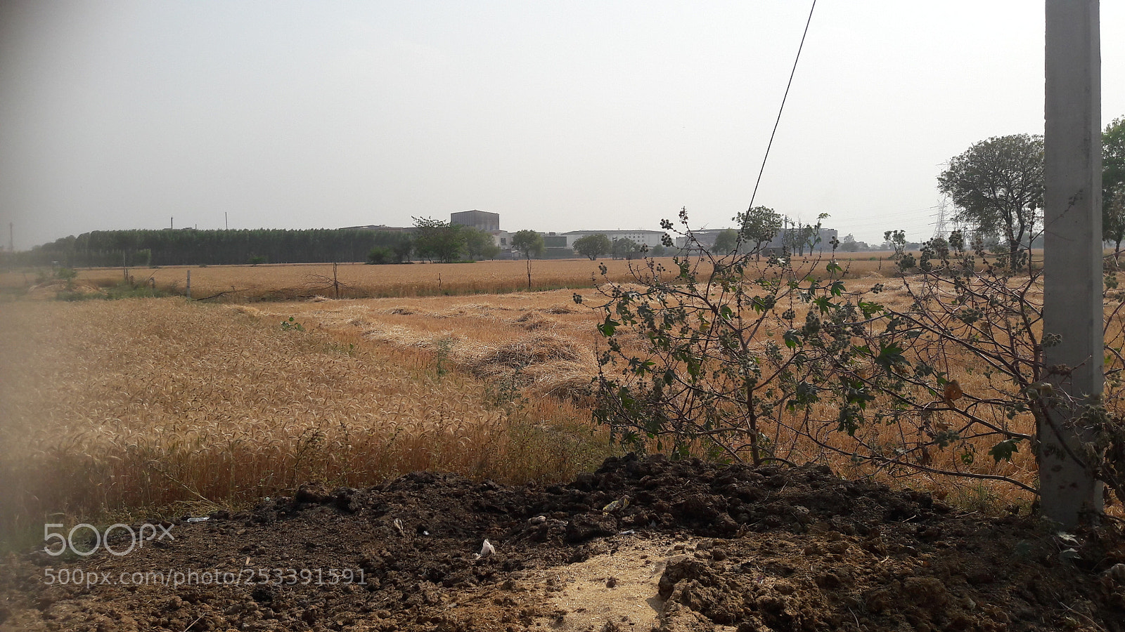 Samsung Galaxy J7 sample photo. Untitled photography