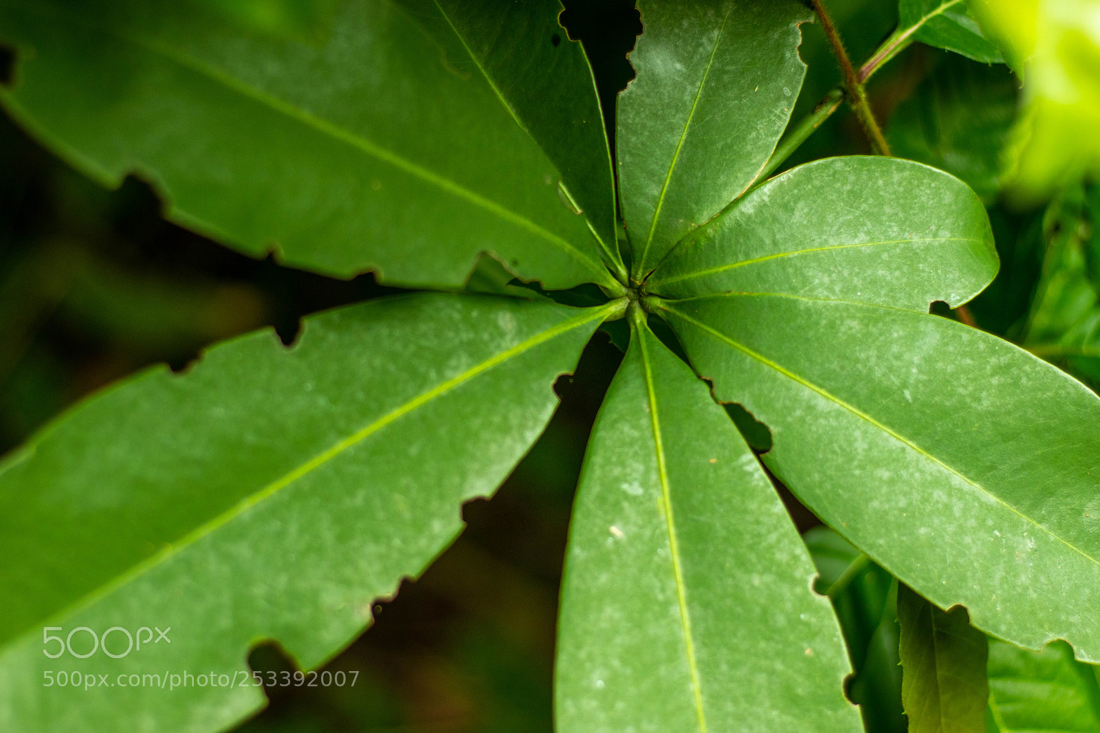Canon EOS 80D sample photo. Sheets photography