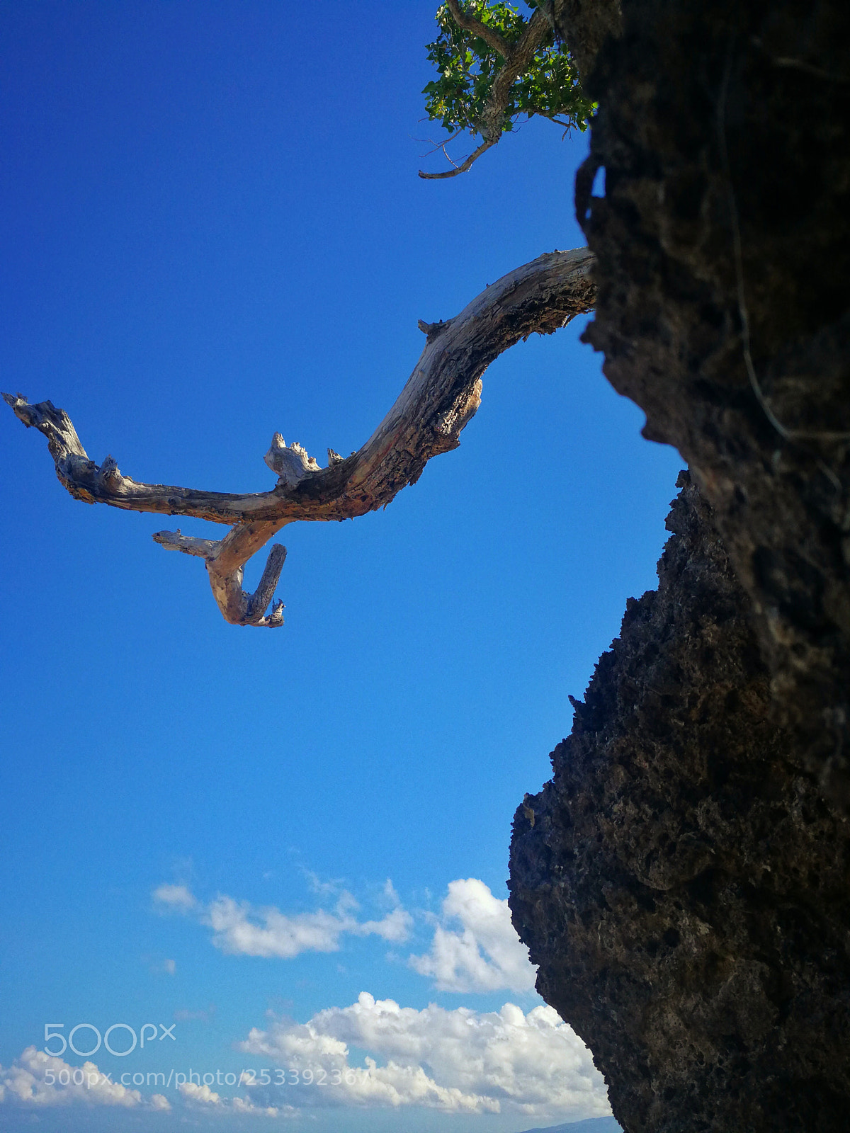 HUAWEI Mate 9 sample photo. Ropes photography