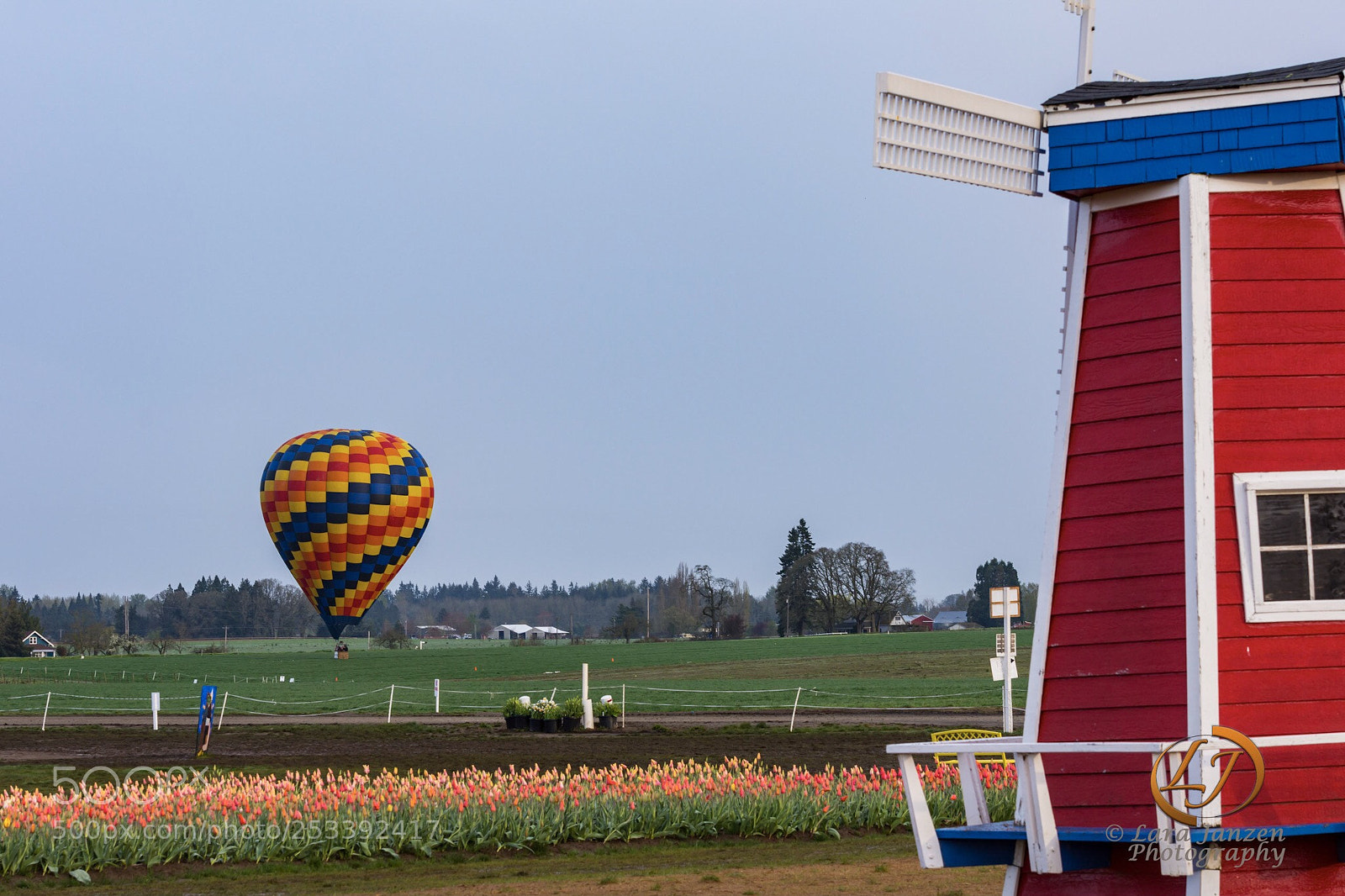 Nikon D7200 sample photo. Hot air balloon coming photography