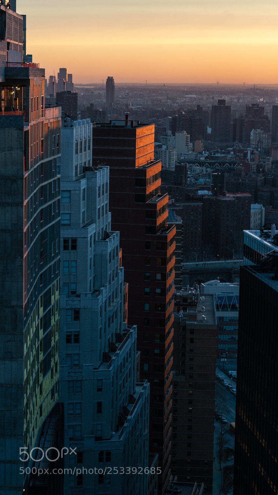 Sony a7R II sample photo. Untitled photography