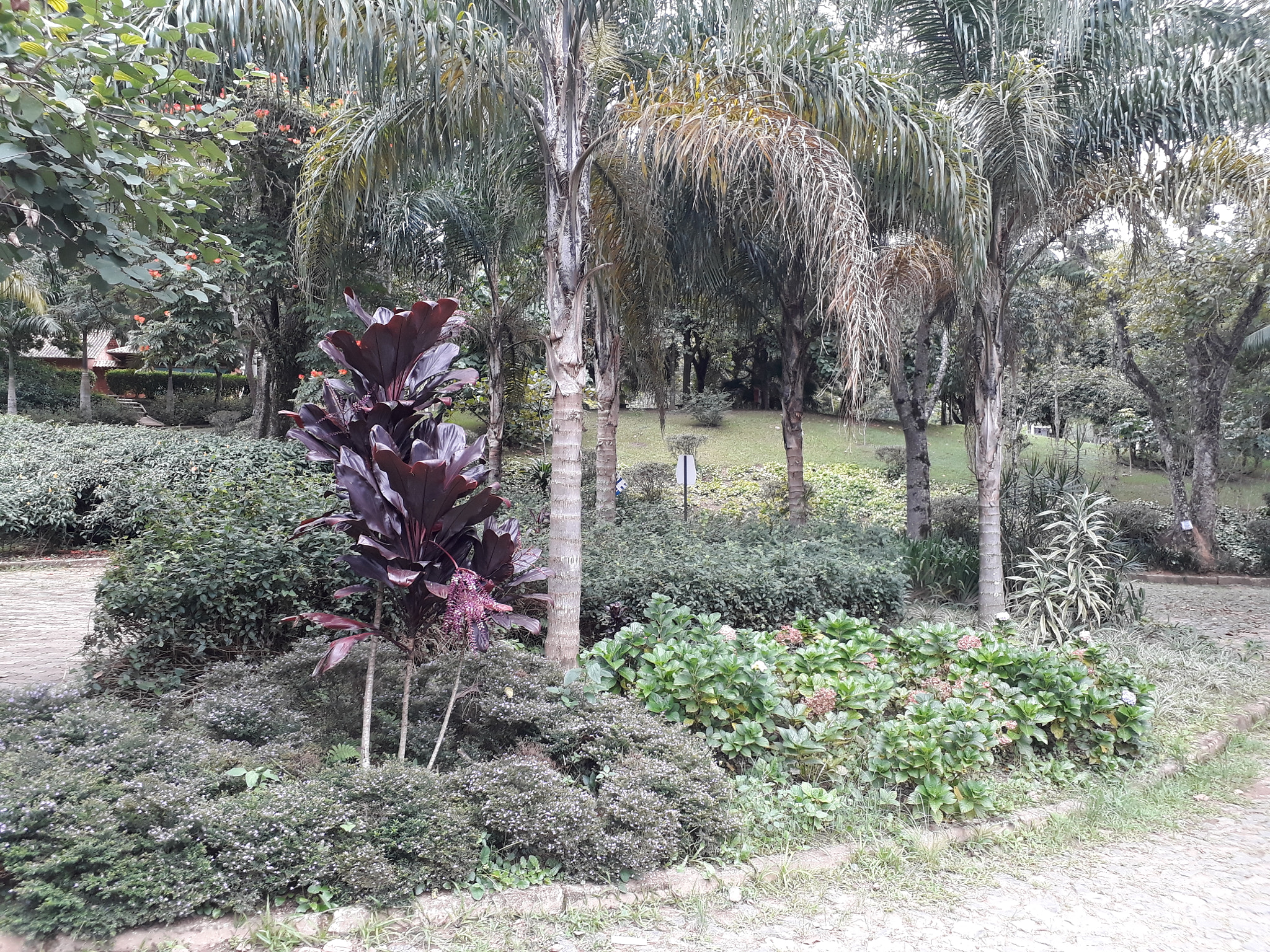 Samsung Galaxy J7 Prime sample photo