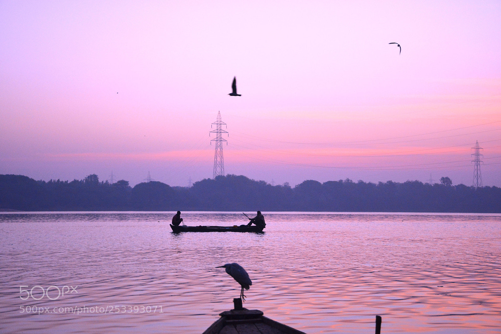 Nikon D7100 sample photo. Untitled photography