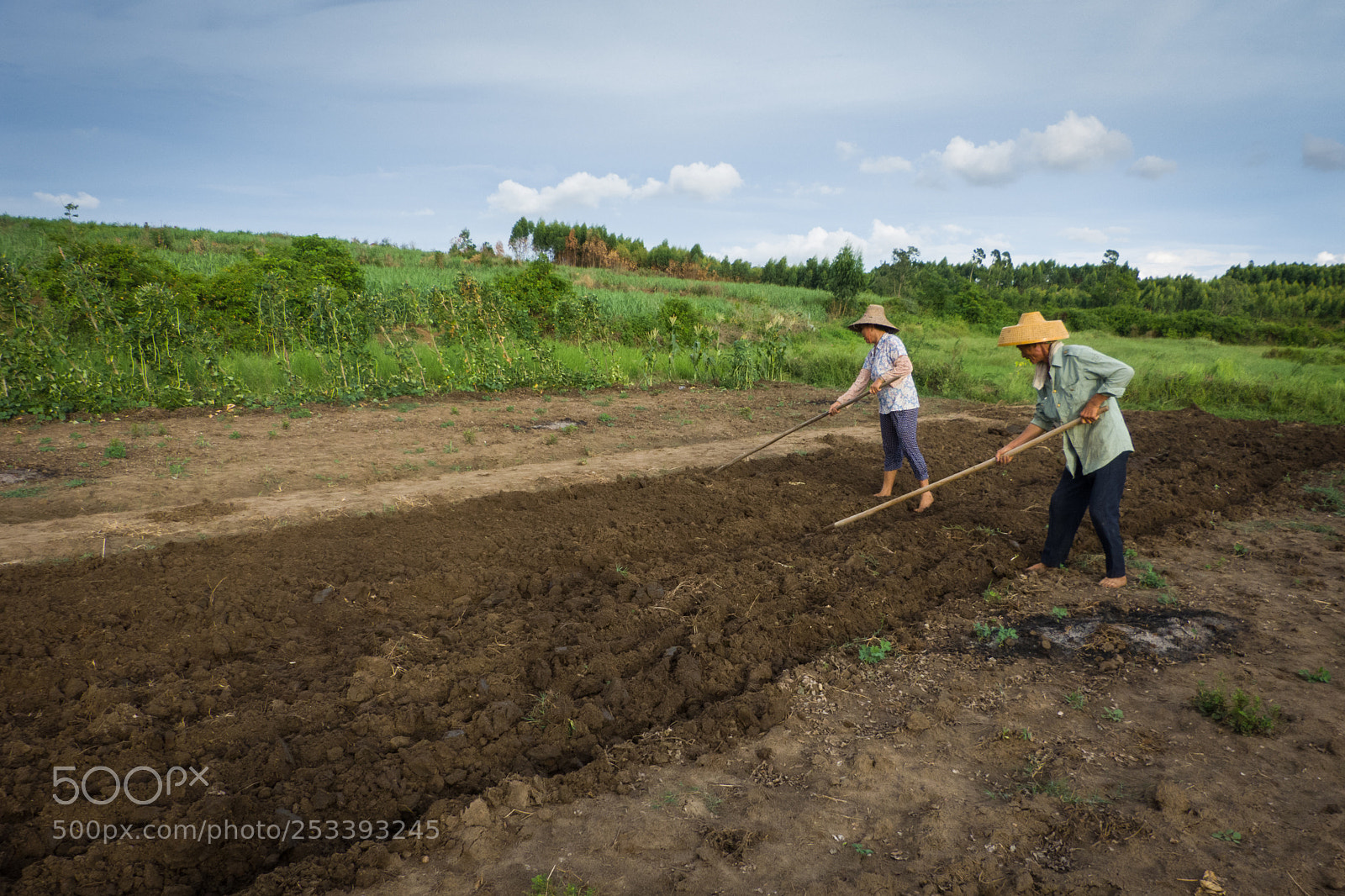 Panasonic Lumix DMC-FZ150 sample photo. Farmer couples ploughing the photography