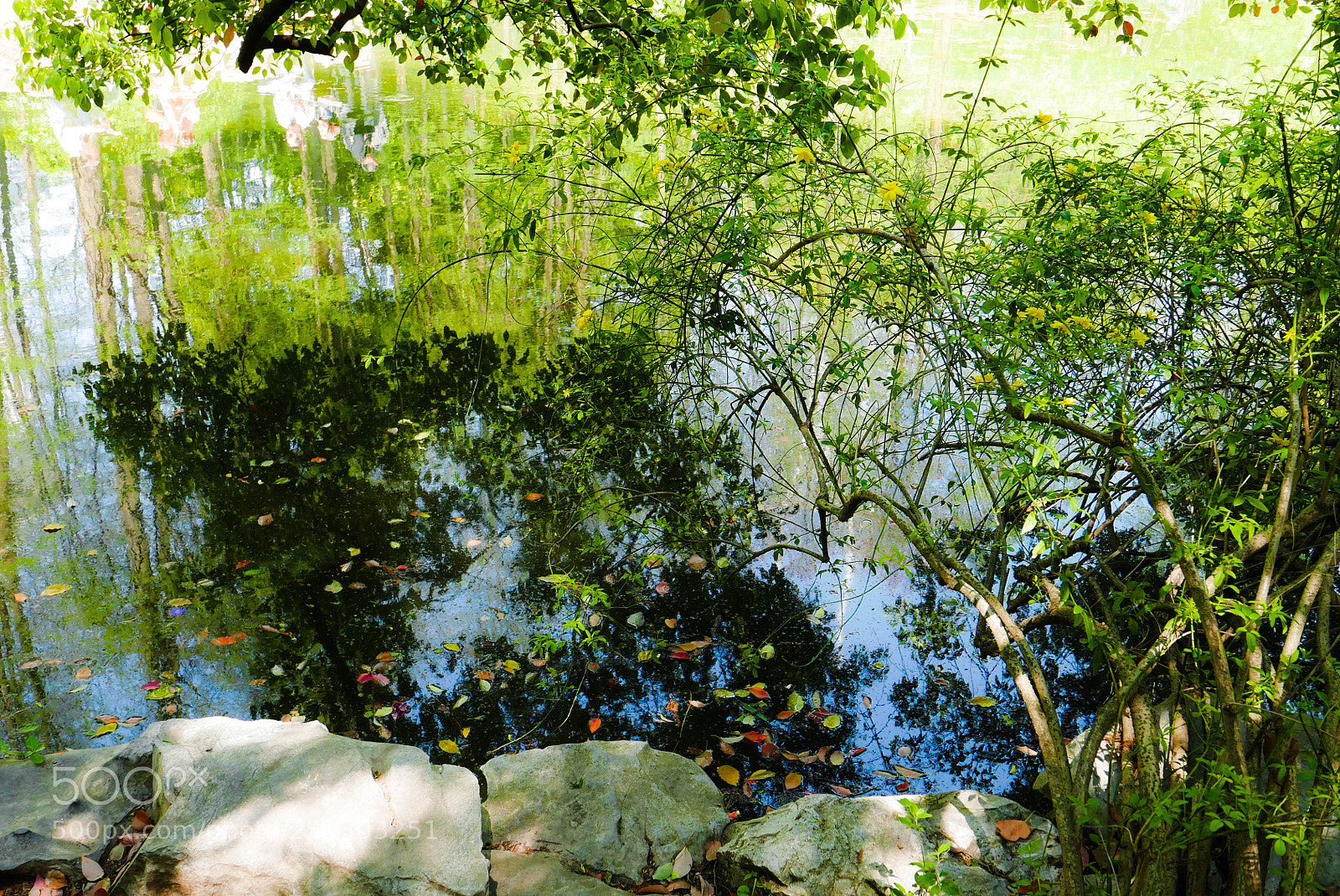Panasonic Lumix DMC-LX100 sample photo. Color of water photography