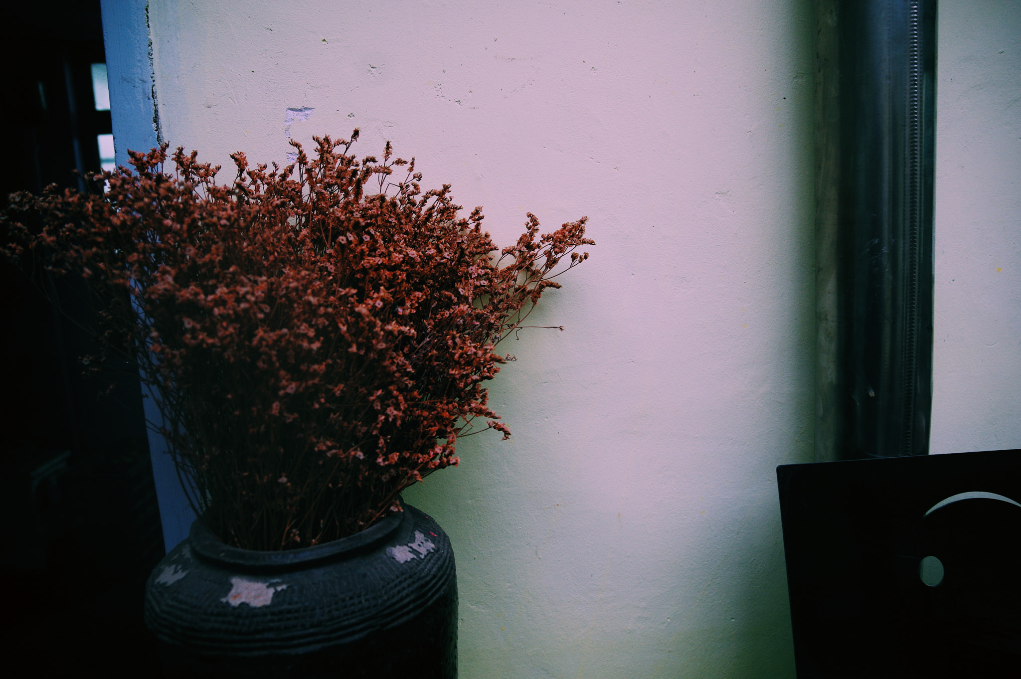 Pentax K-3 II sample photo