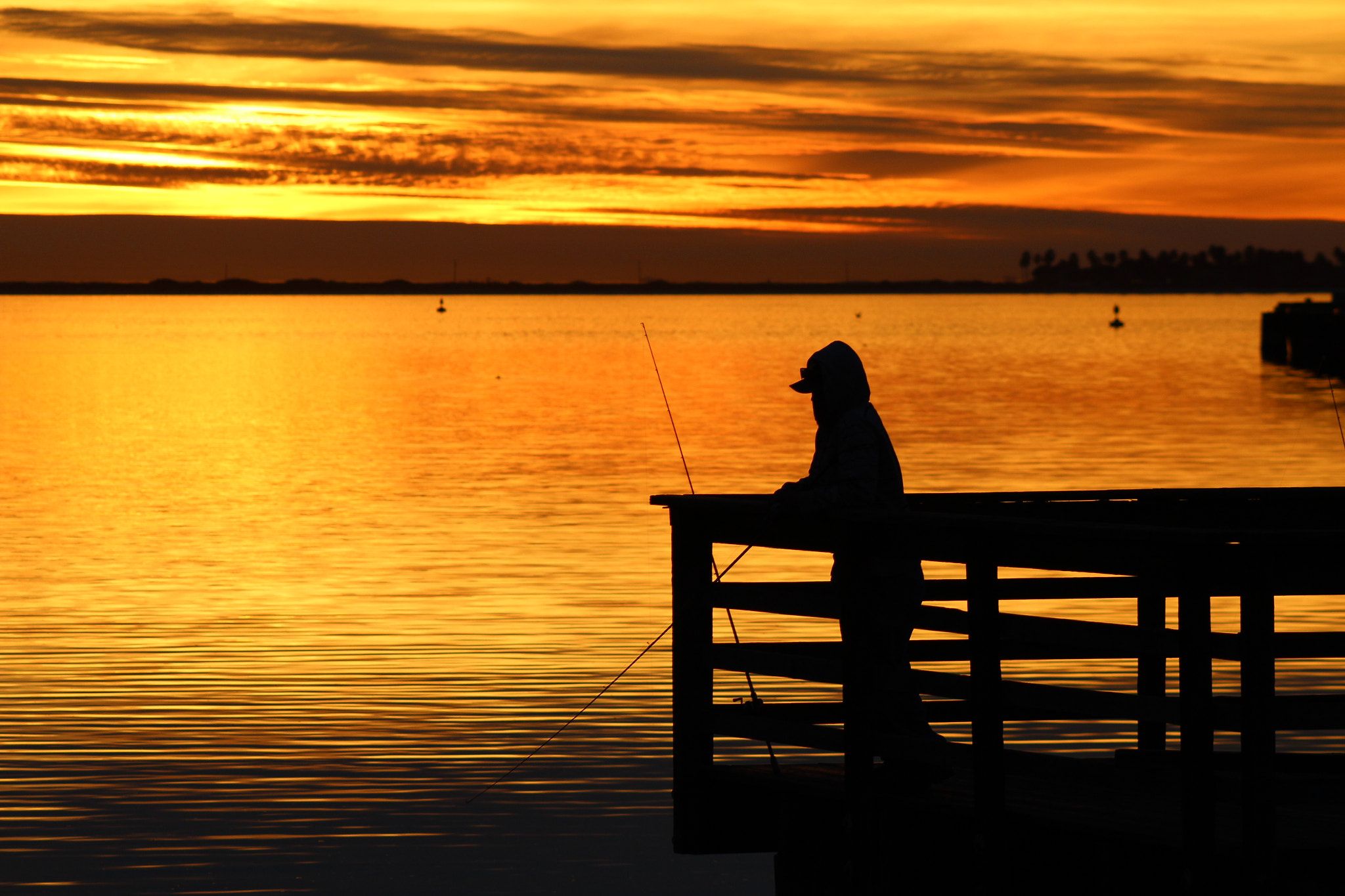 Canon EF 75-300mm f/4-5.6 sample photo. A golden view photography