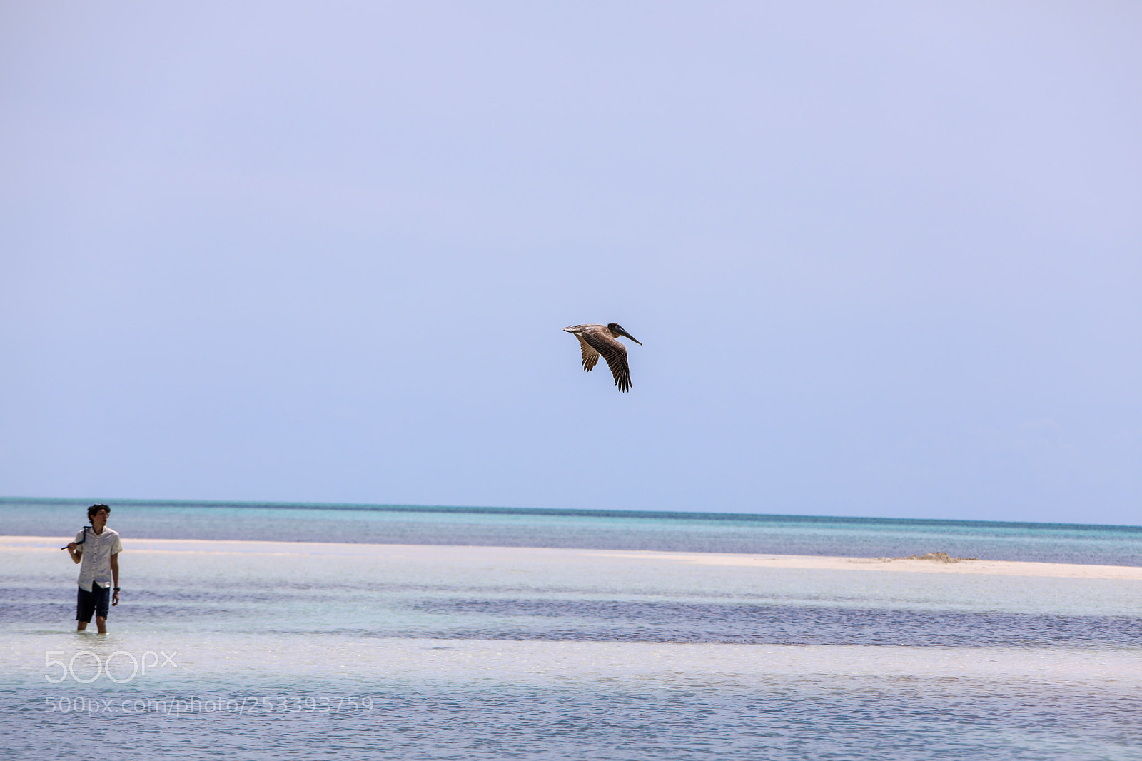 Canon EOS 5D Mark IV sample photo. Untitled photography