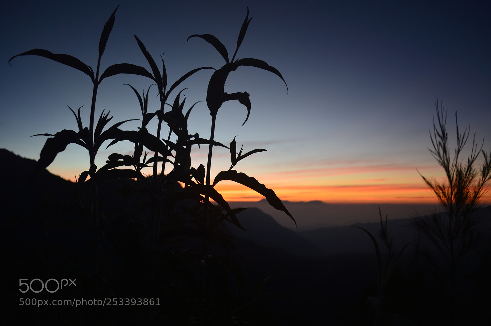 Nikon D3200 sample photo. Sunrise and our memories photography