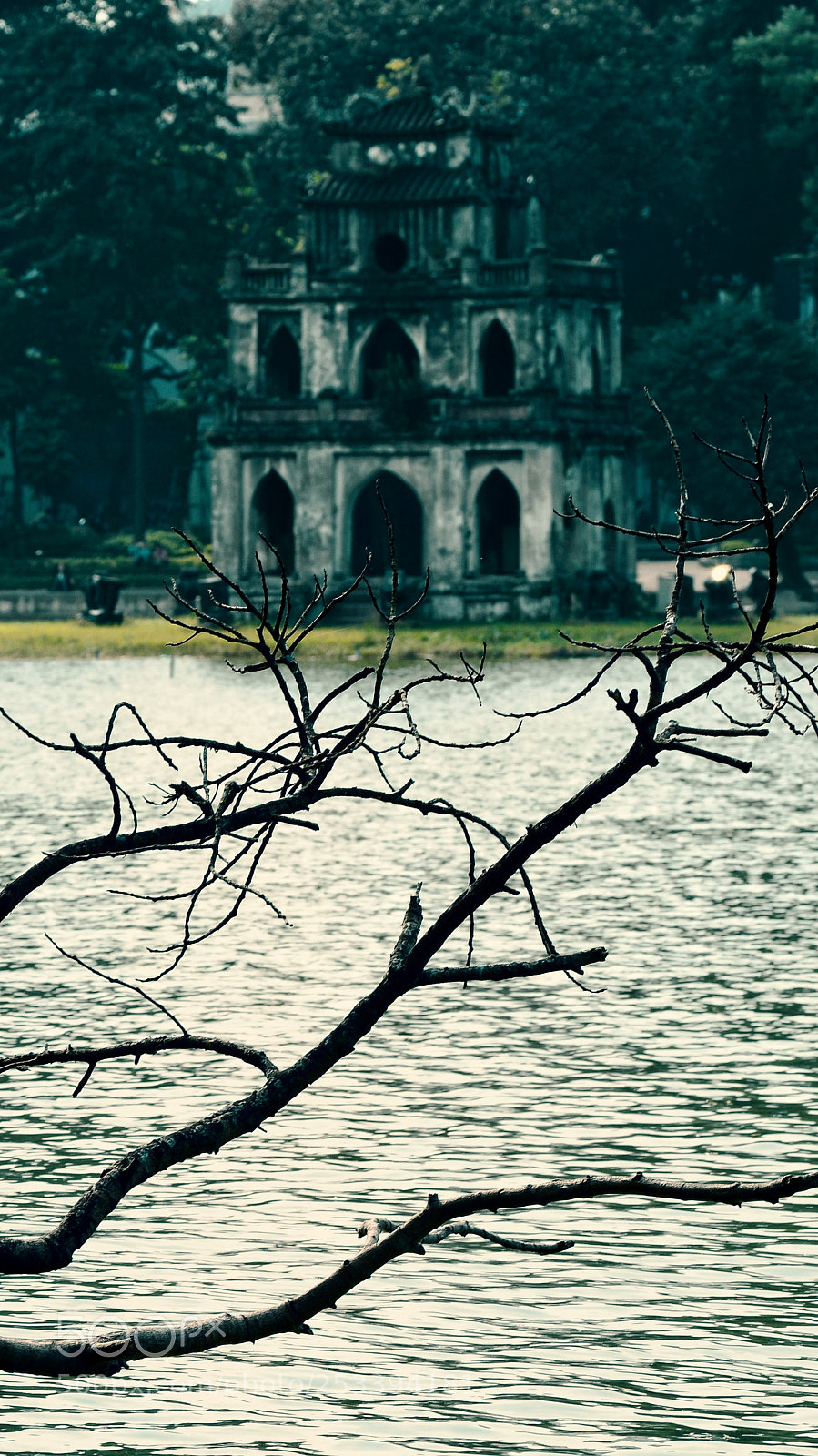 Nikon D7100 sample photo. Untitled photography