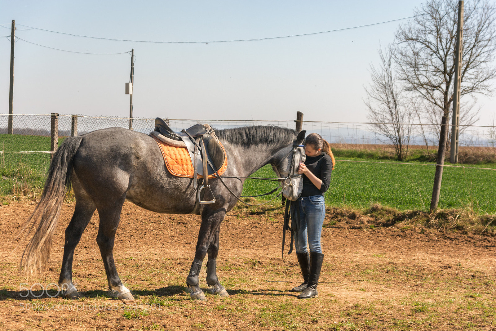 Nikon D7100 sample photo. Girl with a horse photography