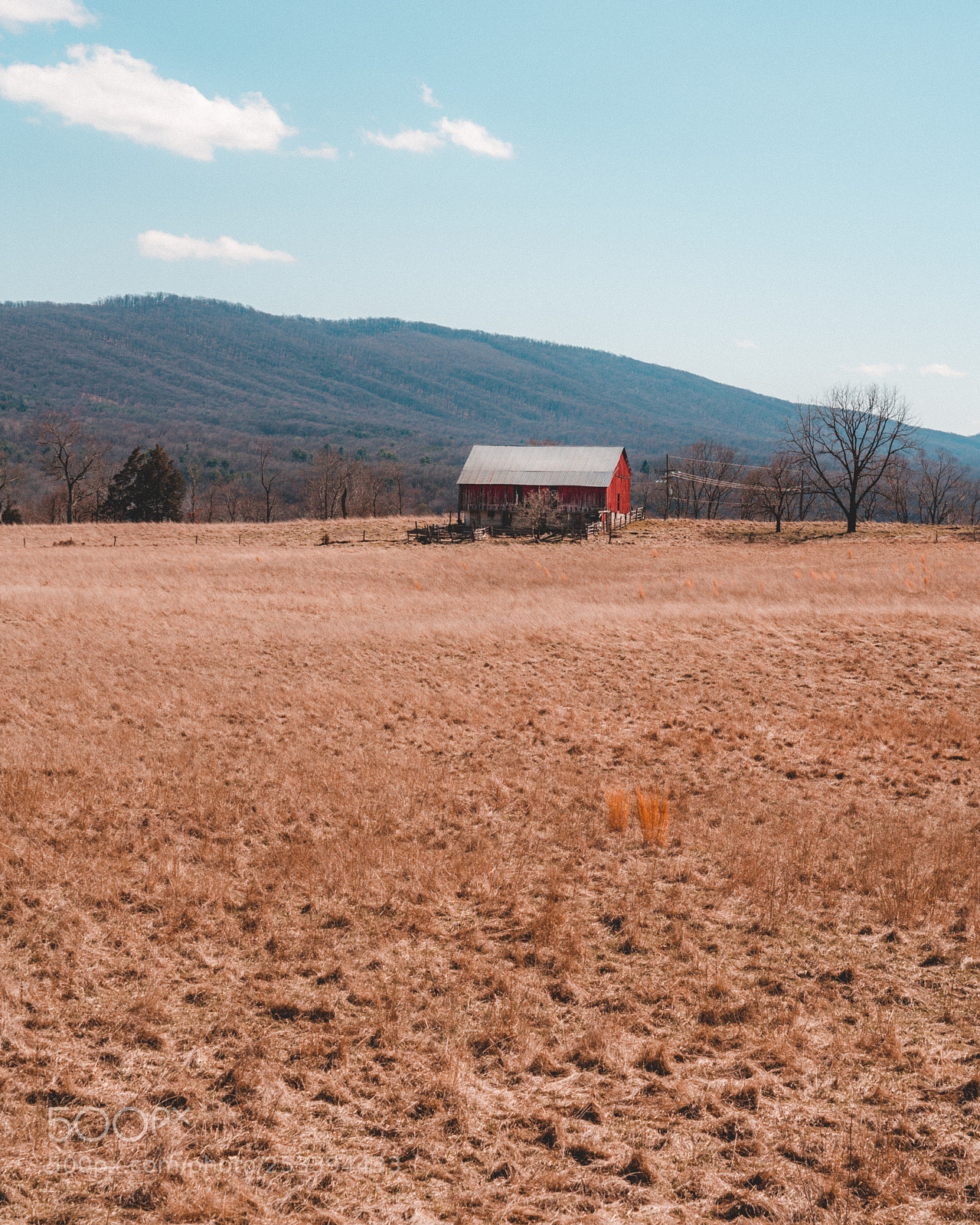 Sony a7R II sample photo. Red barn photography
