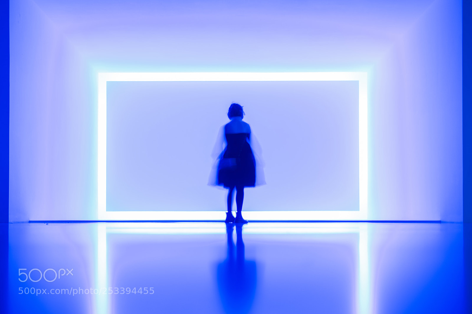 Sony a7R II sample photo. Dsc photography