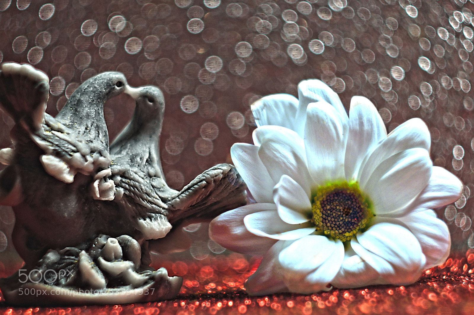 Sony SLT-A65 (SLT-A65V) sample photo. голубки.. photography