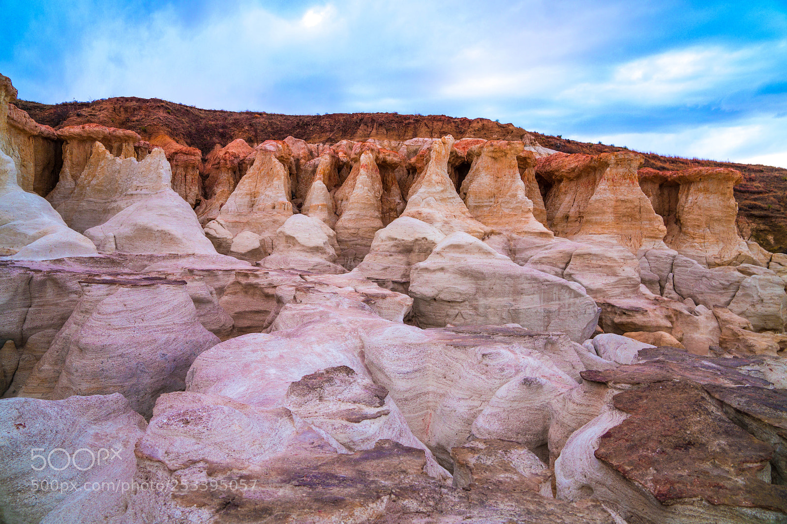 Sony a7R III sample photo. Dsc06873-2.jpg photography