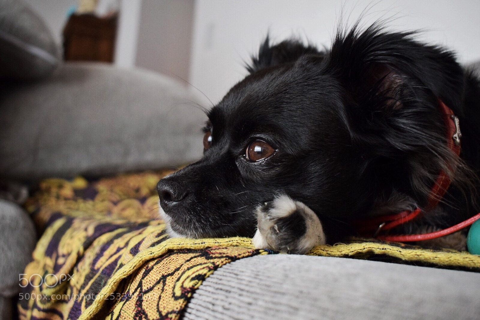 Nikon D5300 sample photo. Looking forward  photography