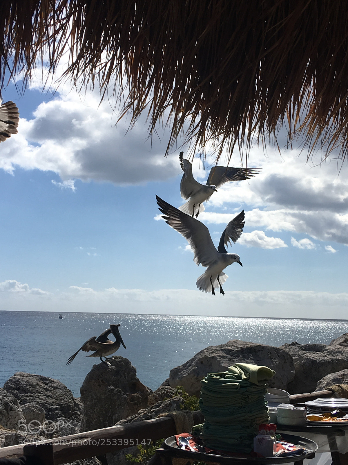 Apple iPhone 6s Plus sample photo. Mexico  photography