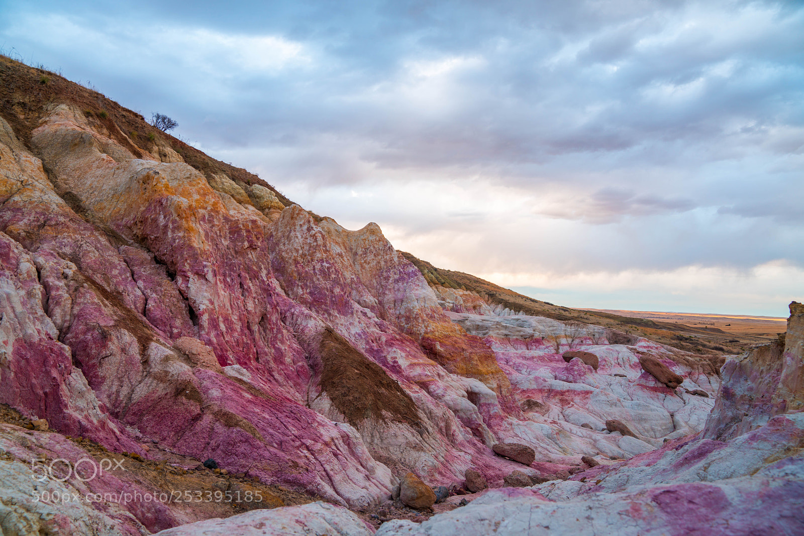 Sony a7R III sample photo. Dsc06879-6.jpg photography