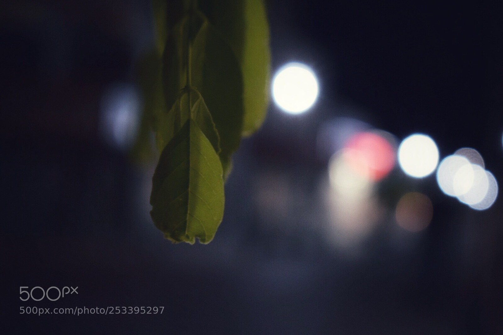 Nikon D5300 sample photo. Untitled photography