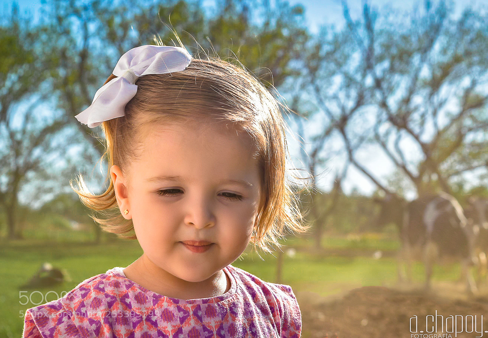 Nikon D5500 sample photo. Untitled photography