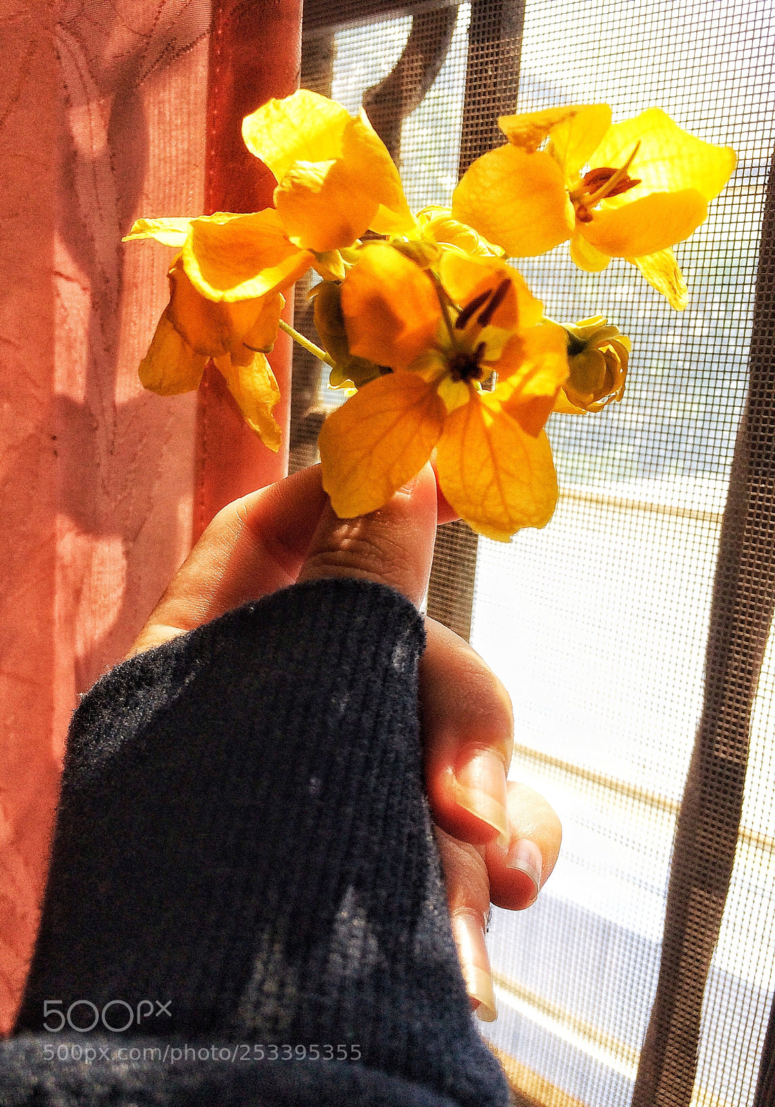 Apple iPhone 5s sample photo. Saturday photography
