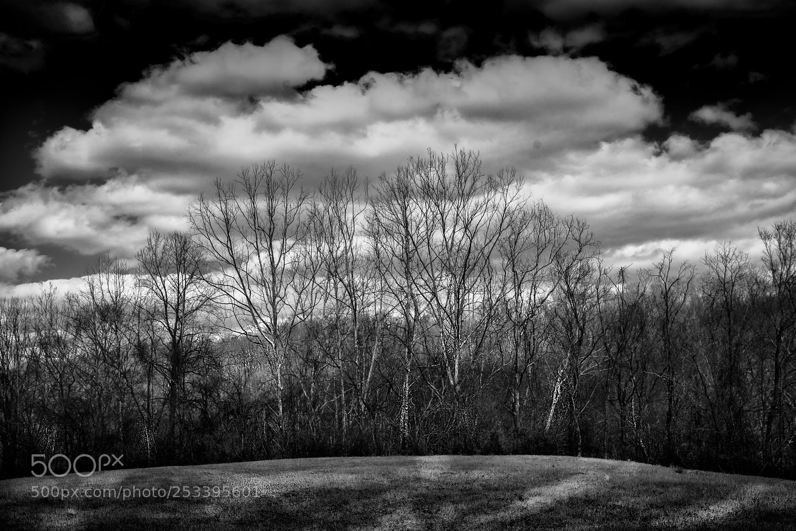 Nikon D7100 sample photo. Charley's meadow and woods photography