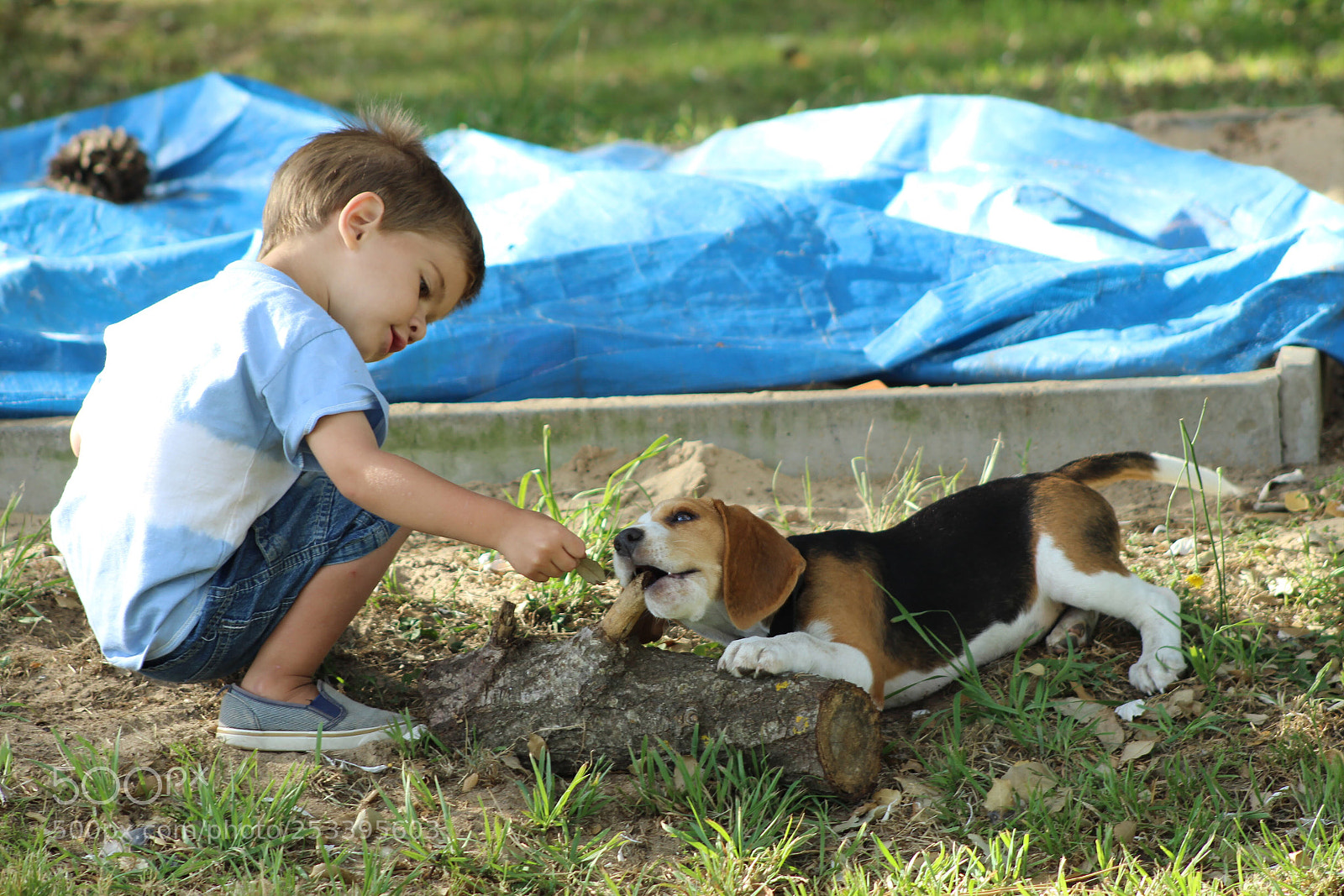 Canon EOS 1200D (EOS Rebel T5 / EOS Kiss X70 / EOS Hi) sample photo. Child&dog photography