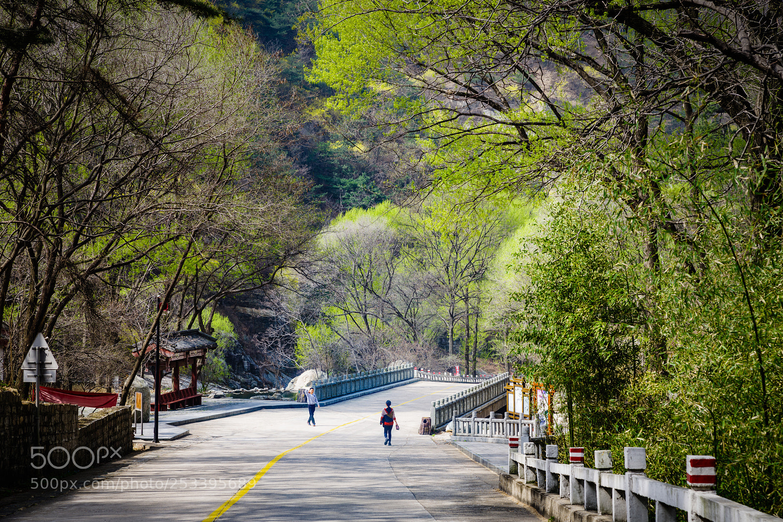 Pentax K-1 sample photo. Mountain road in early photography