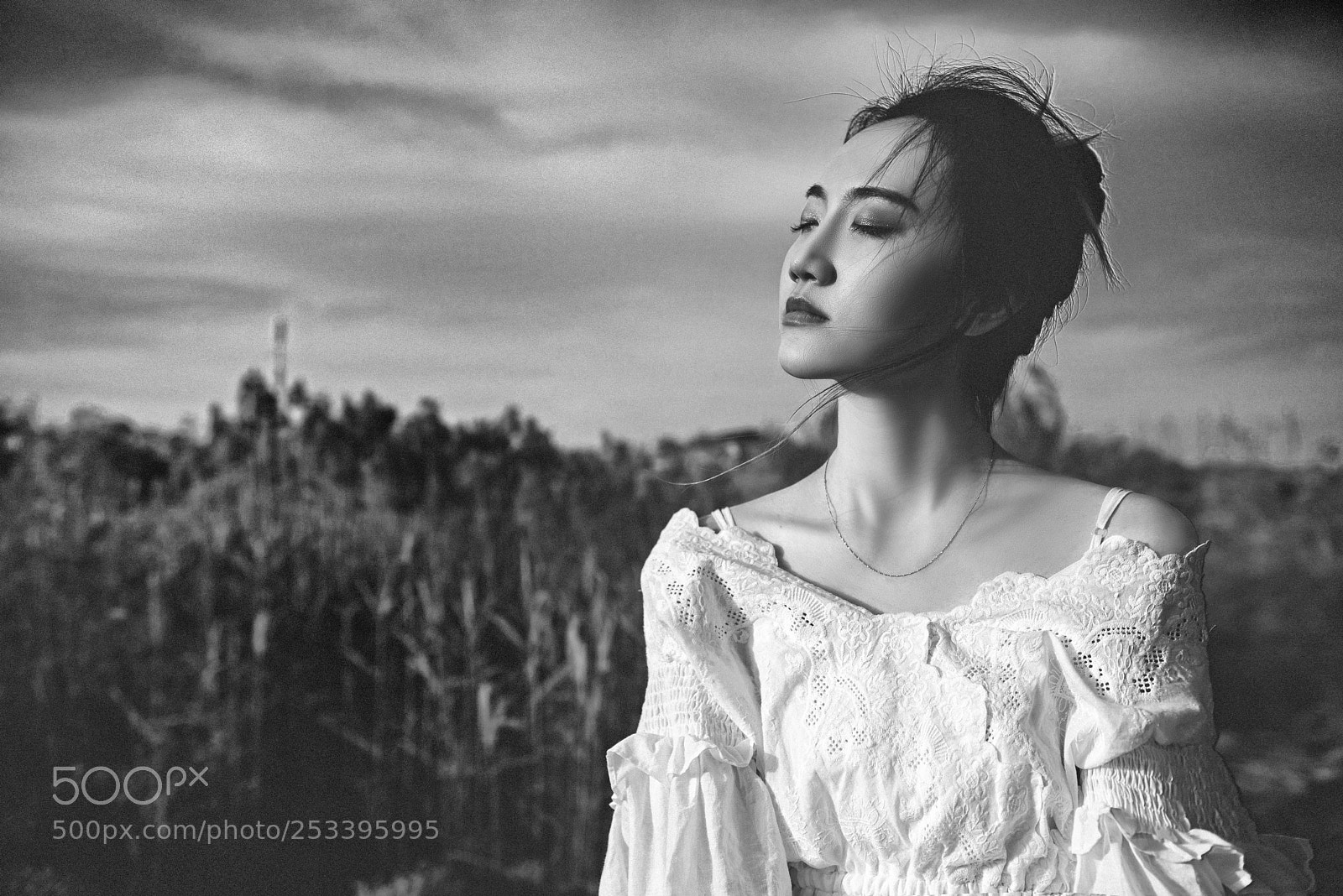 Nikon D810 sample photo. Untitled photography