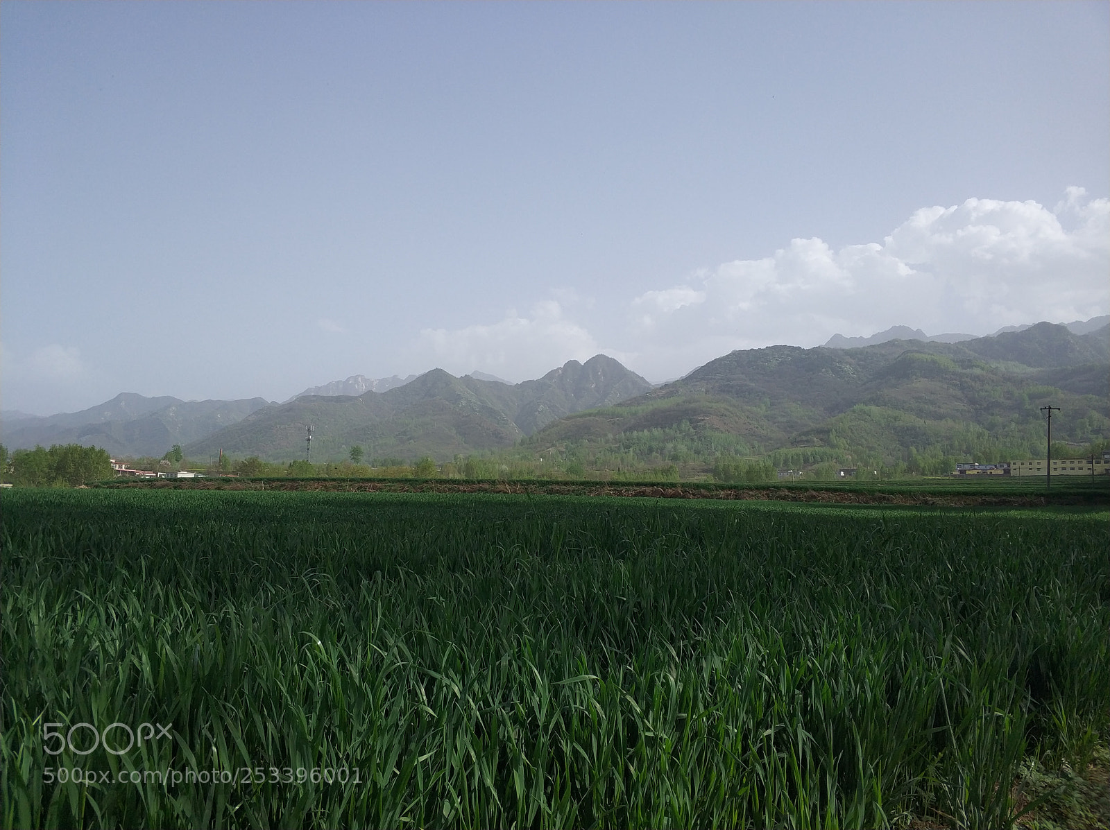 Xiaomi MI6 sample photo. Untitled photography