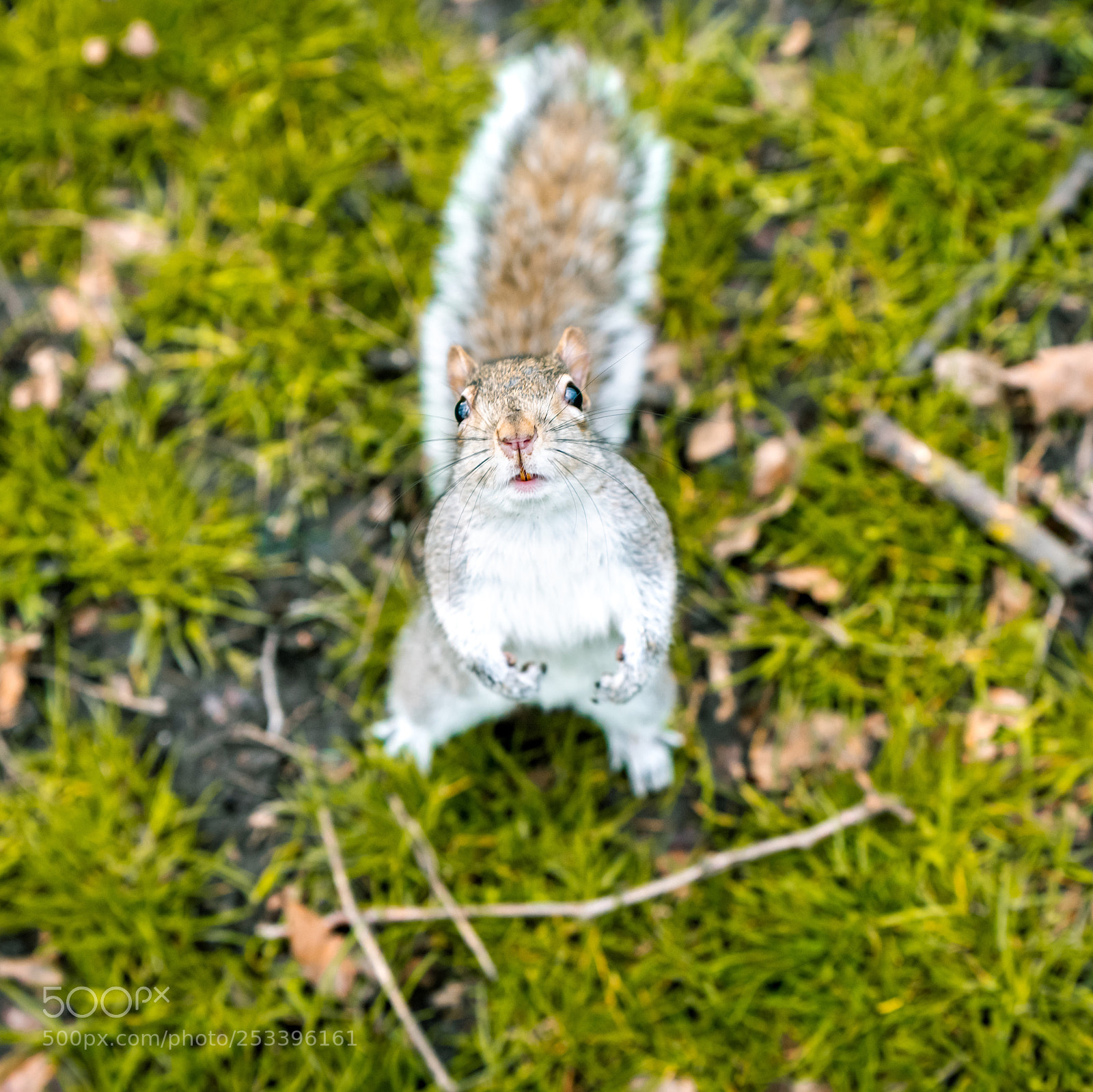 Nikon D810 sample photo. Untitled photography