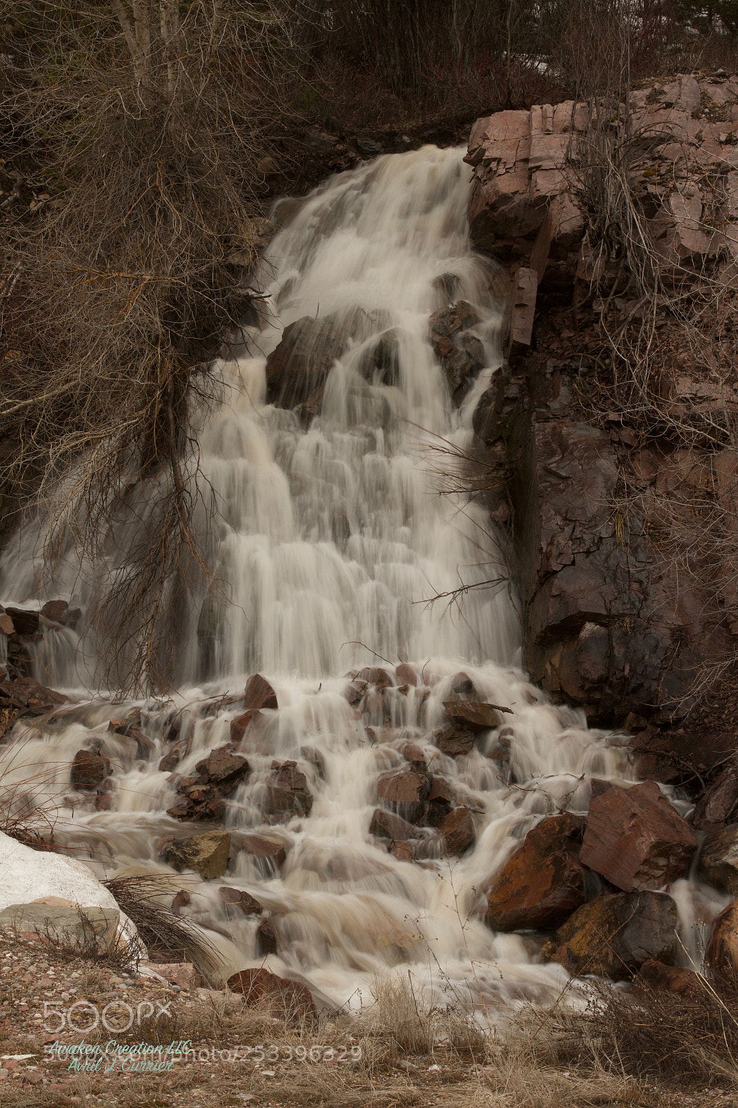 Canon EOS 7D sample photo. Spring has sprung photography