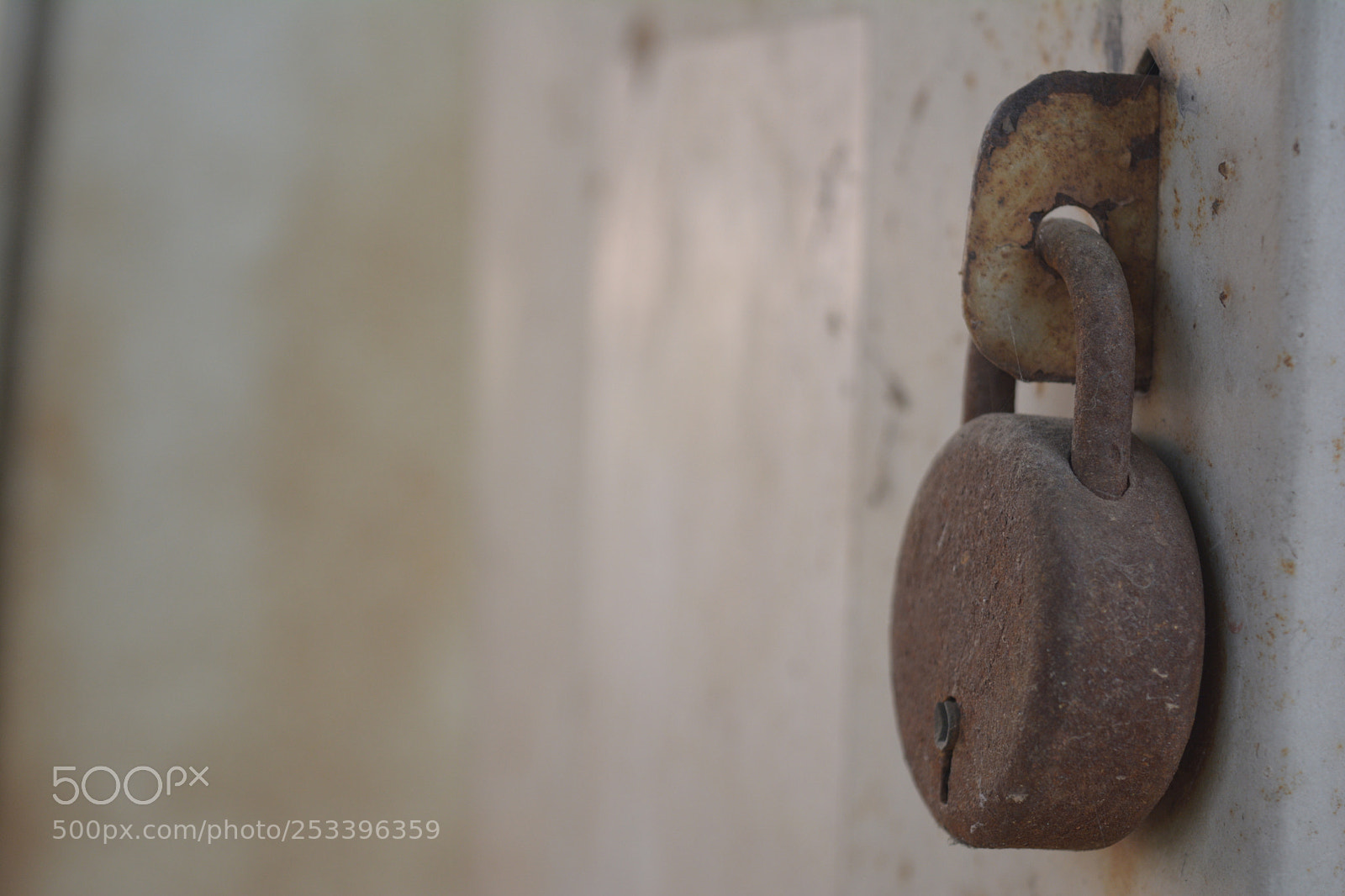 Nikon D5200 sample photo. Pics of nature and photography