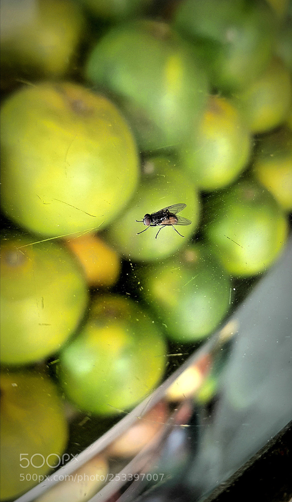 Samsung Galaxy S8 sample photo. Untitled photography